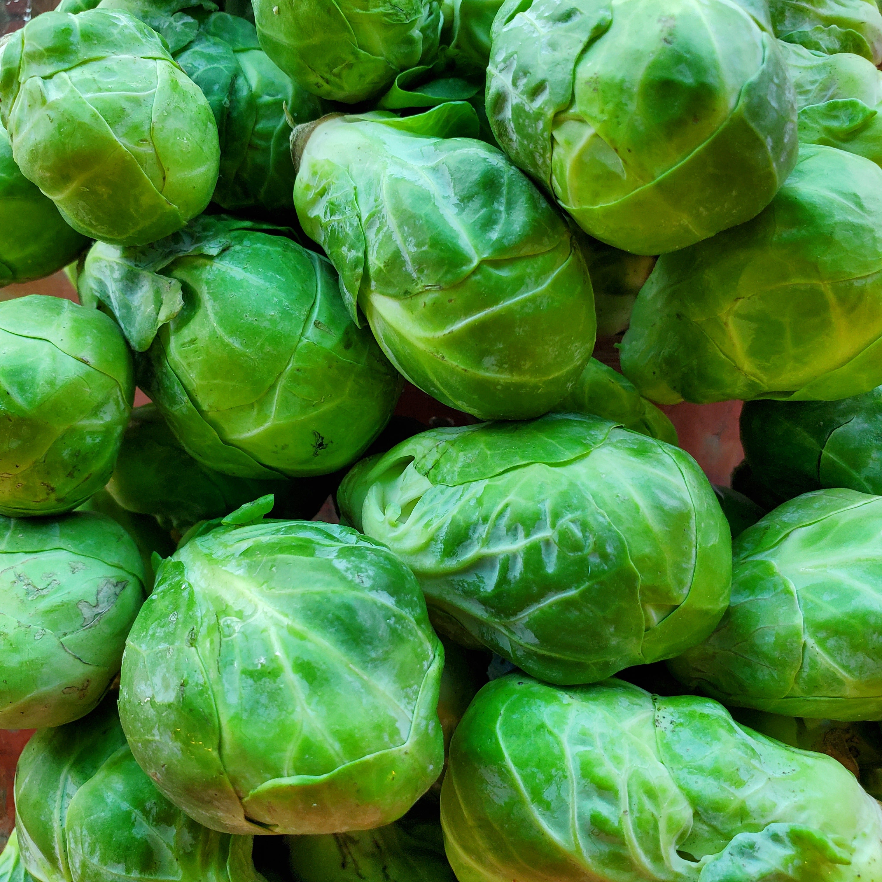 Brussel Sprouts