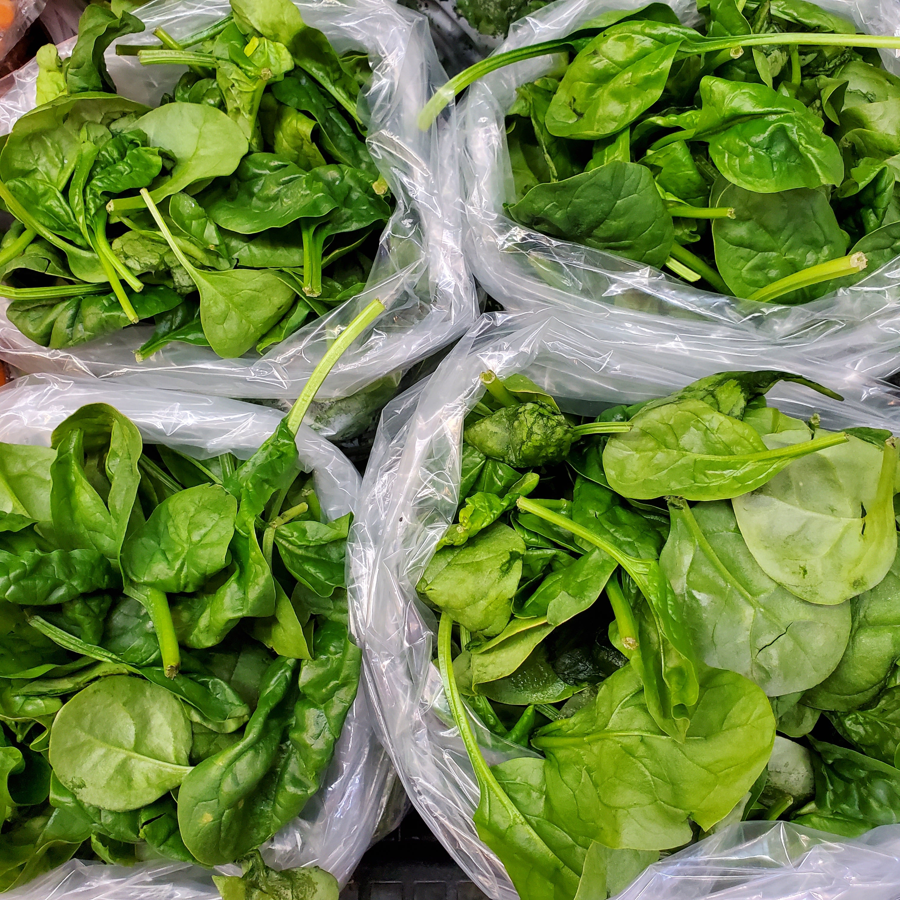 Greens - Spinach Organic