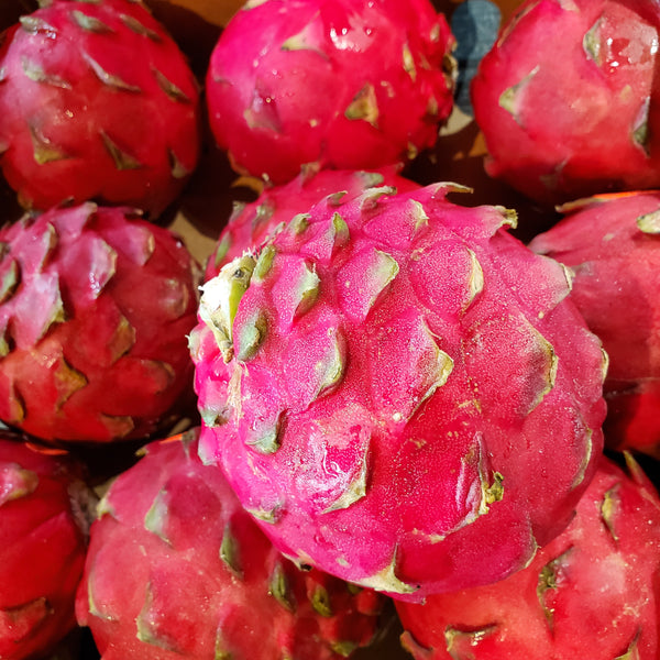 Dragonfruit Pink