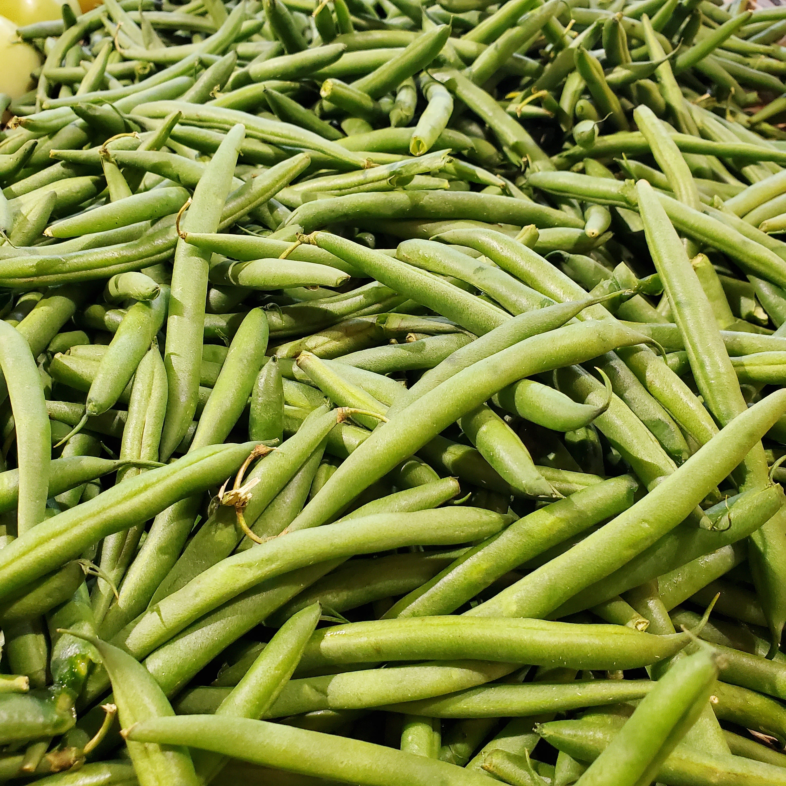 Greenbeans