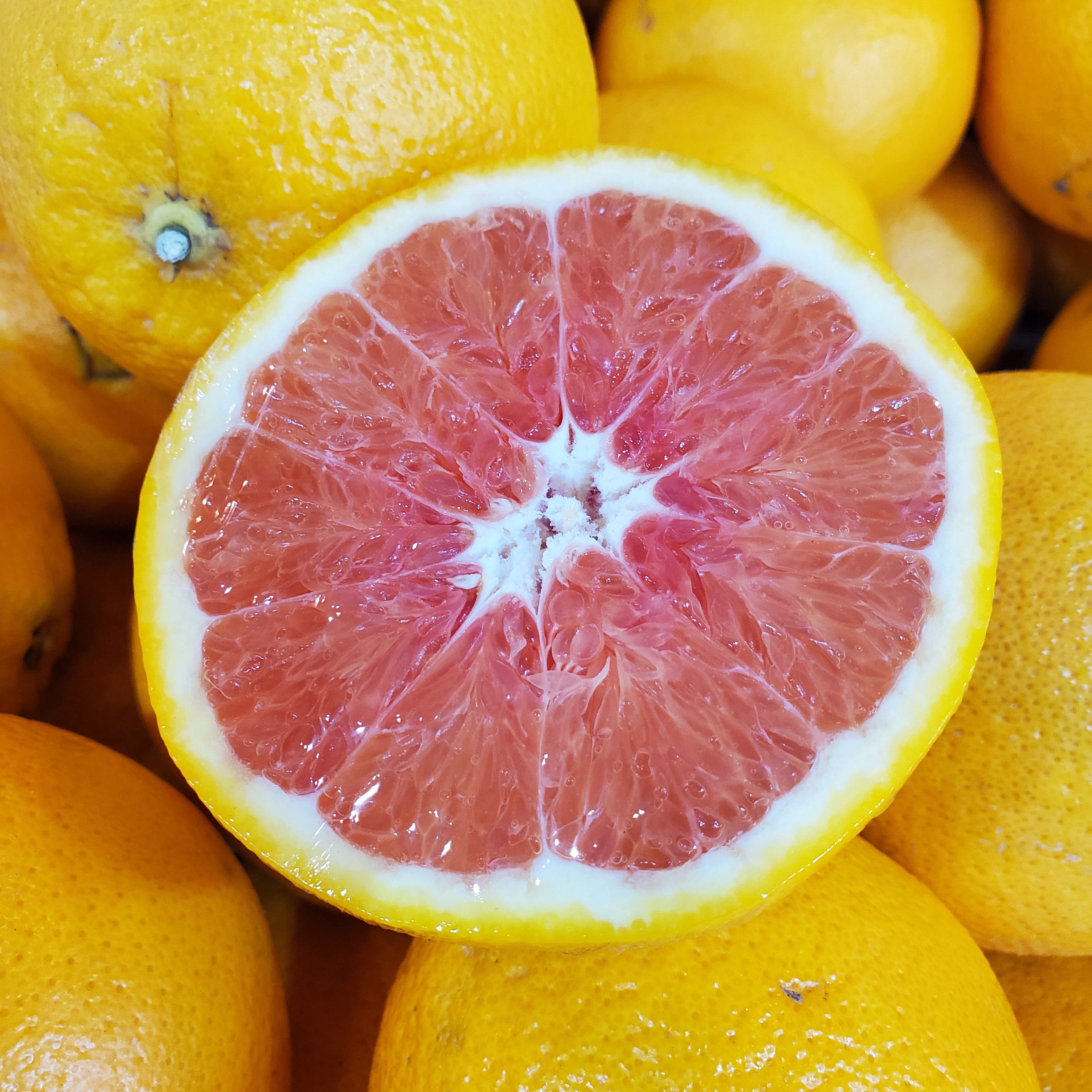 Citrus Cara Cara Navel