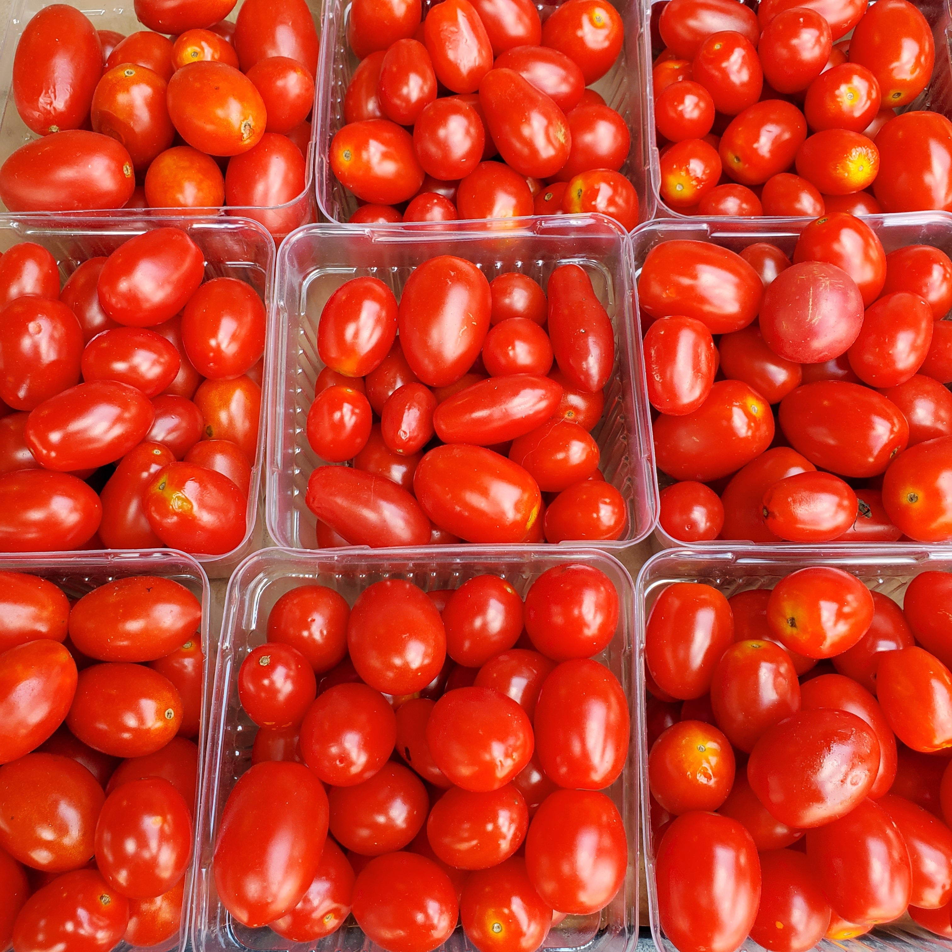 Tomato Cocktail Grape