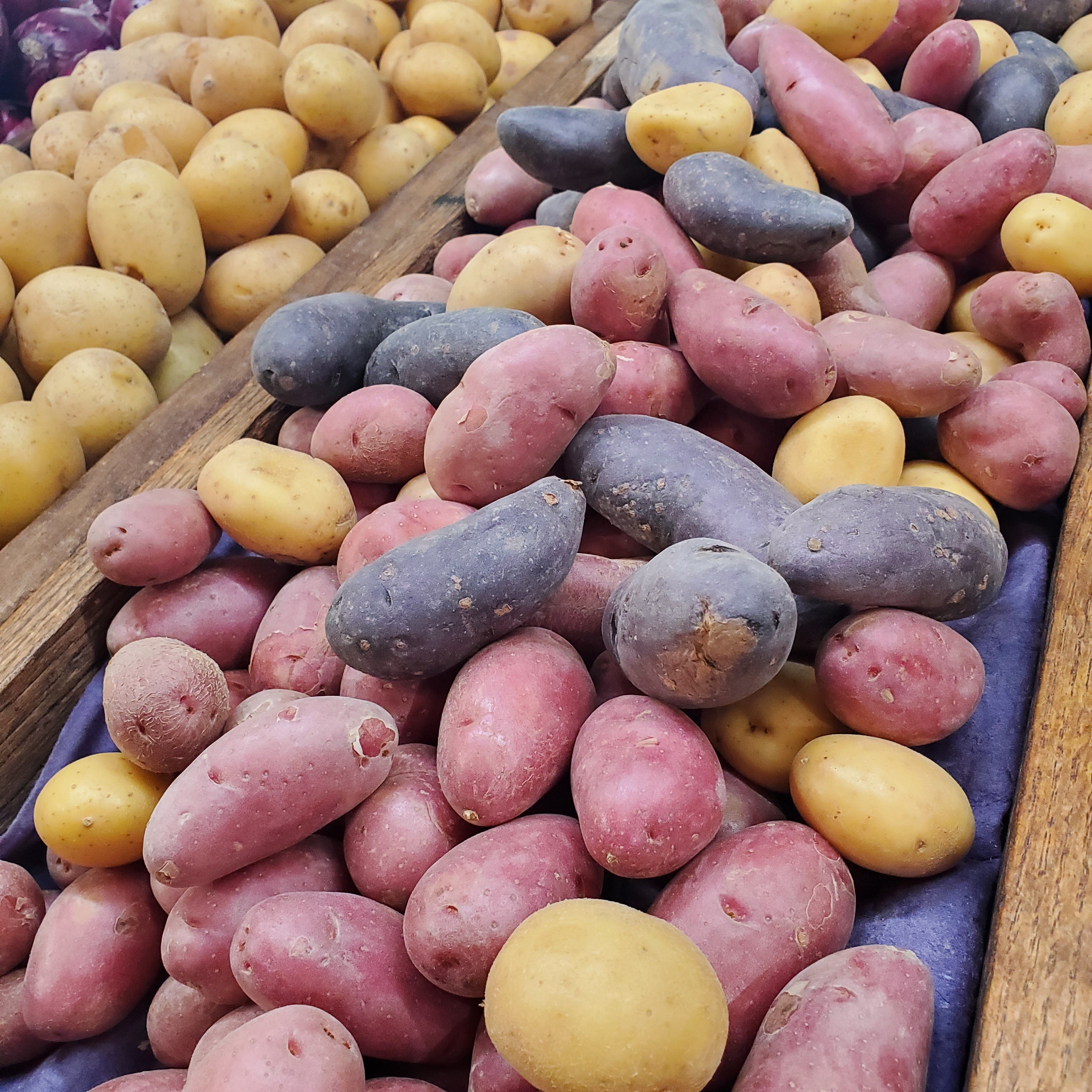 Potato Creamer Rainbow