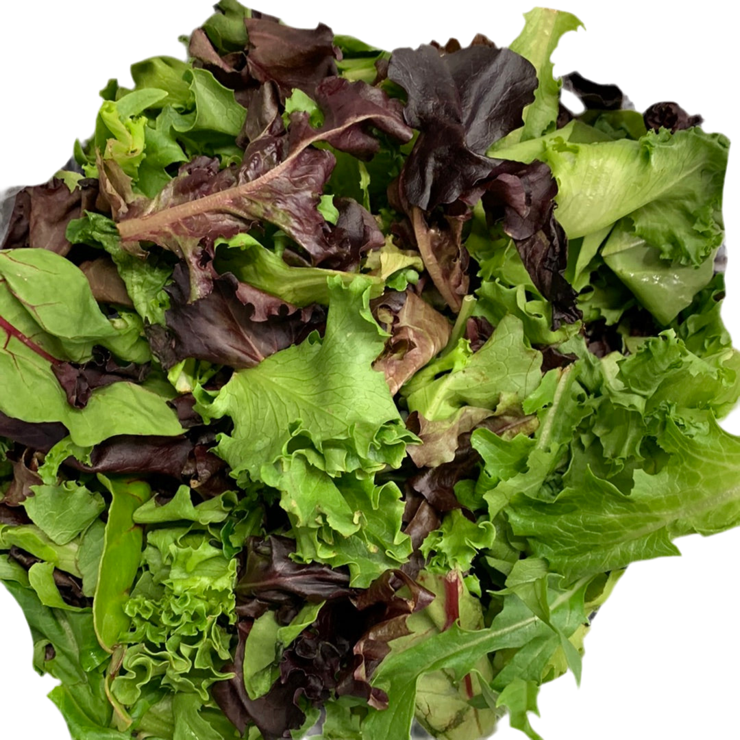 Greens- Spring Mix Organic