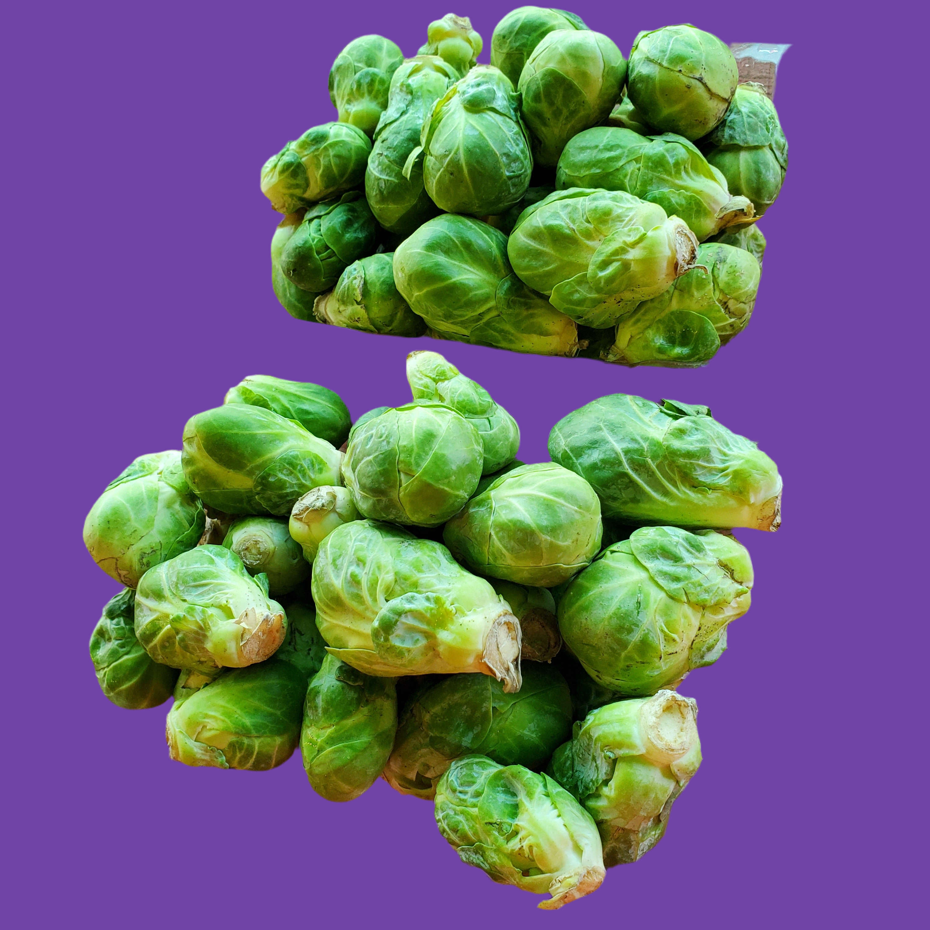 Brussel Sprouts