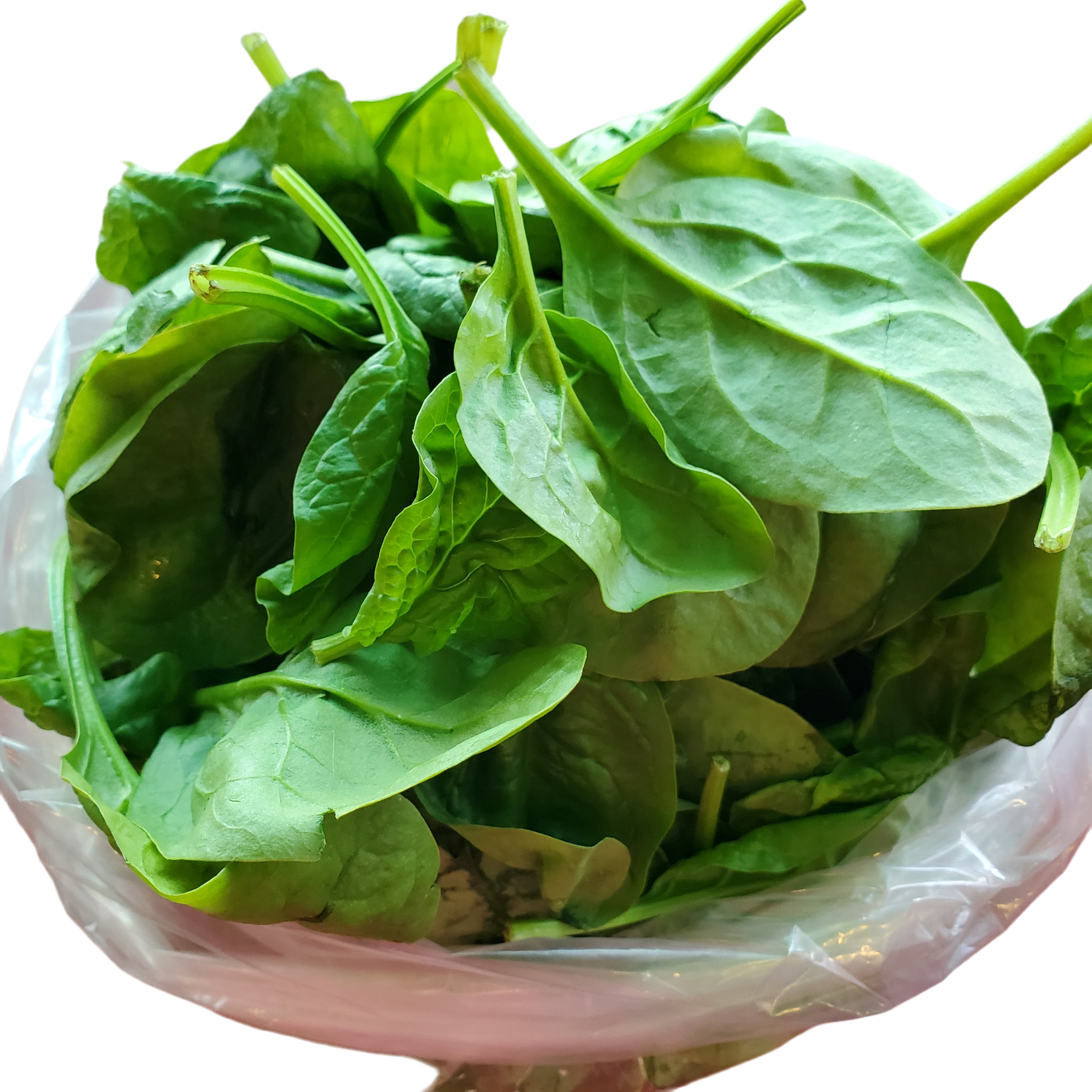 Greens - Spinach Organic