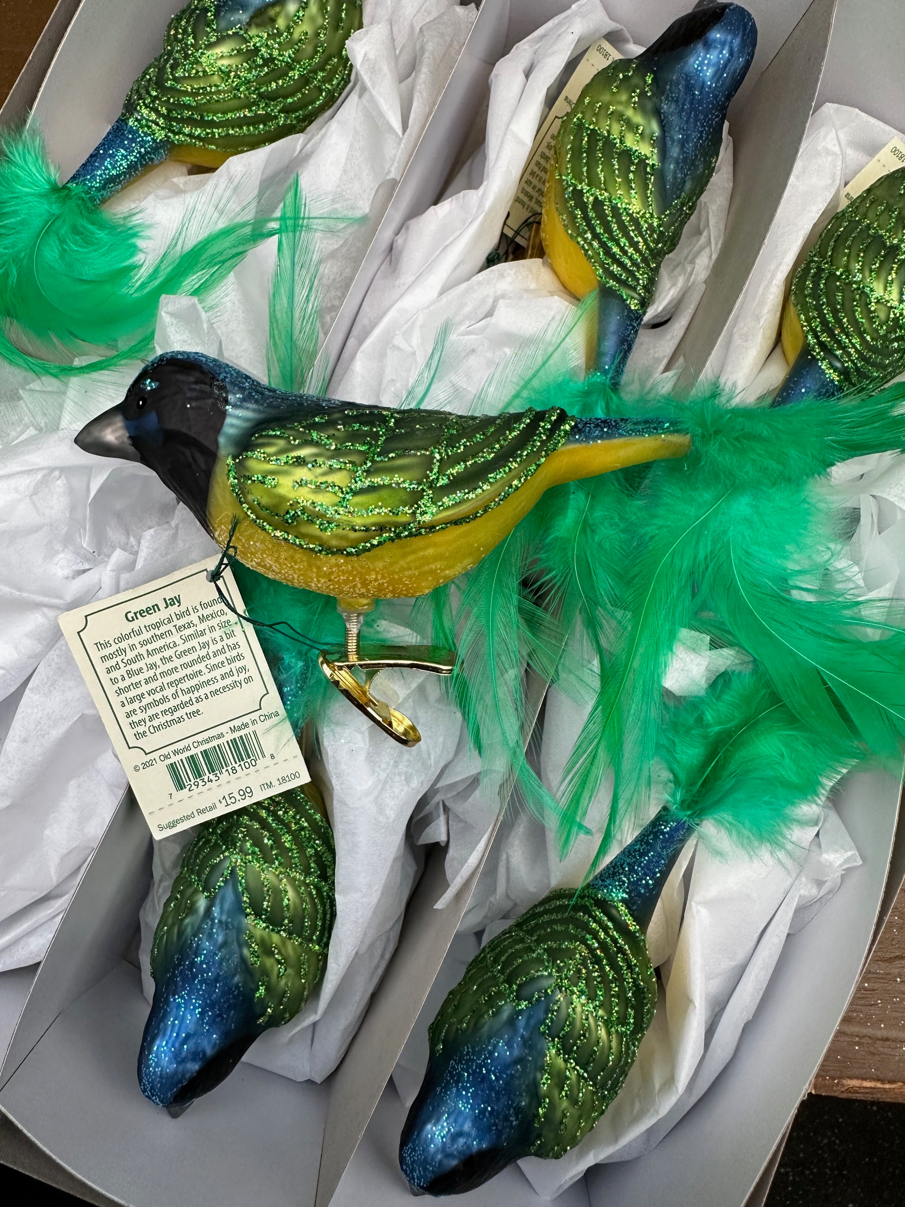 Green Jay Old World Christmas Ornament