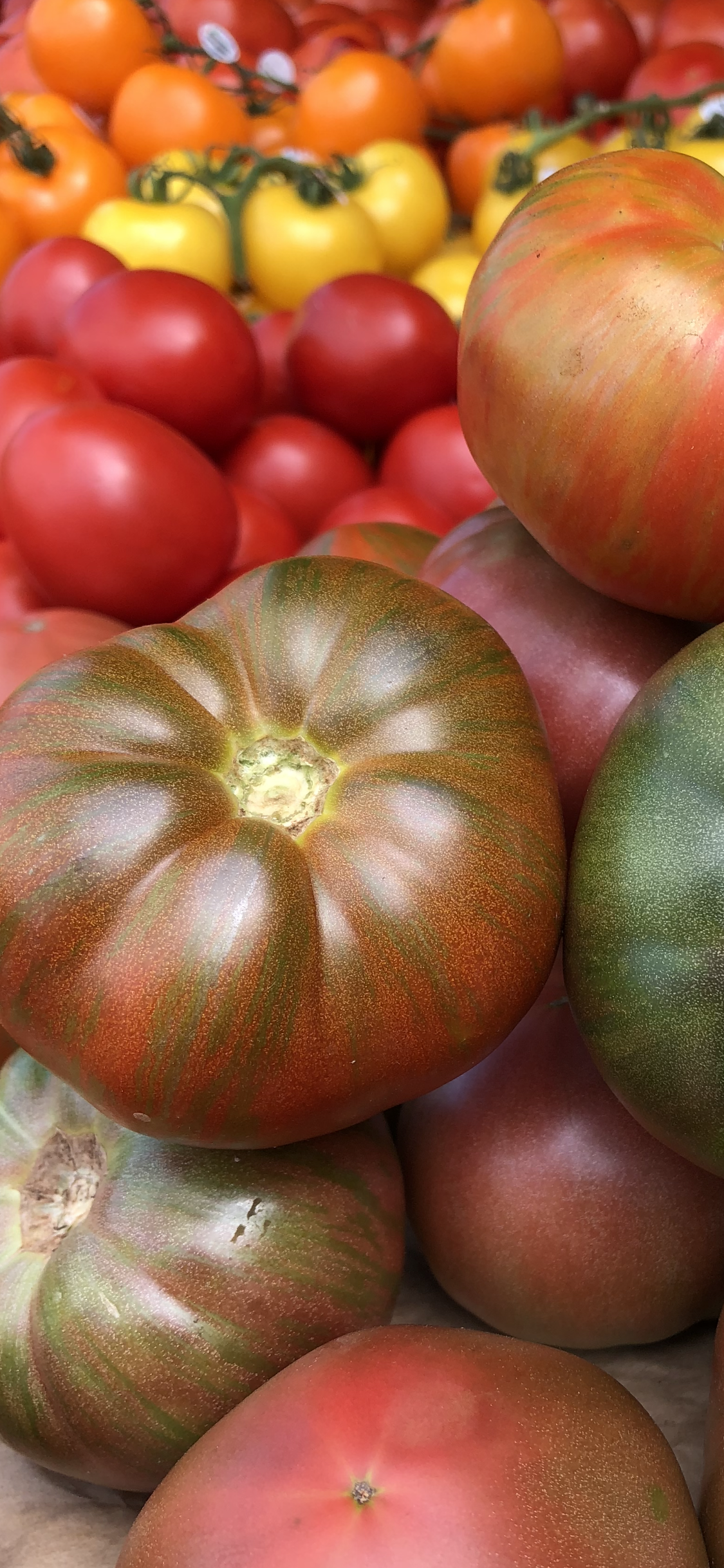Tomato Heirloom