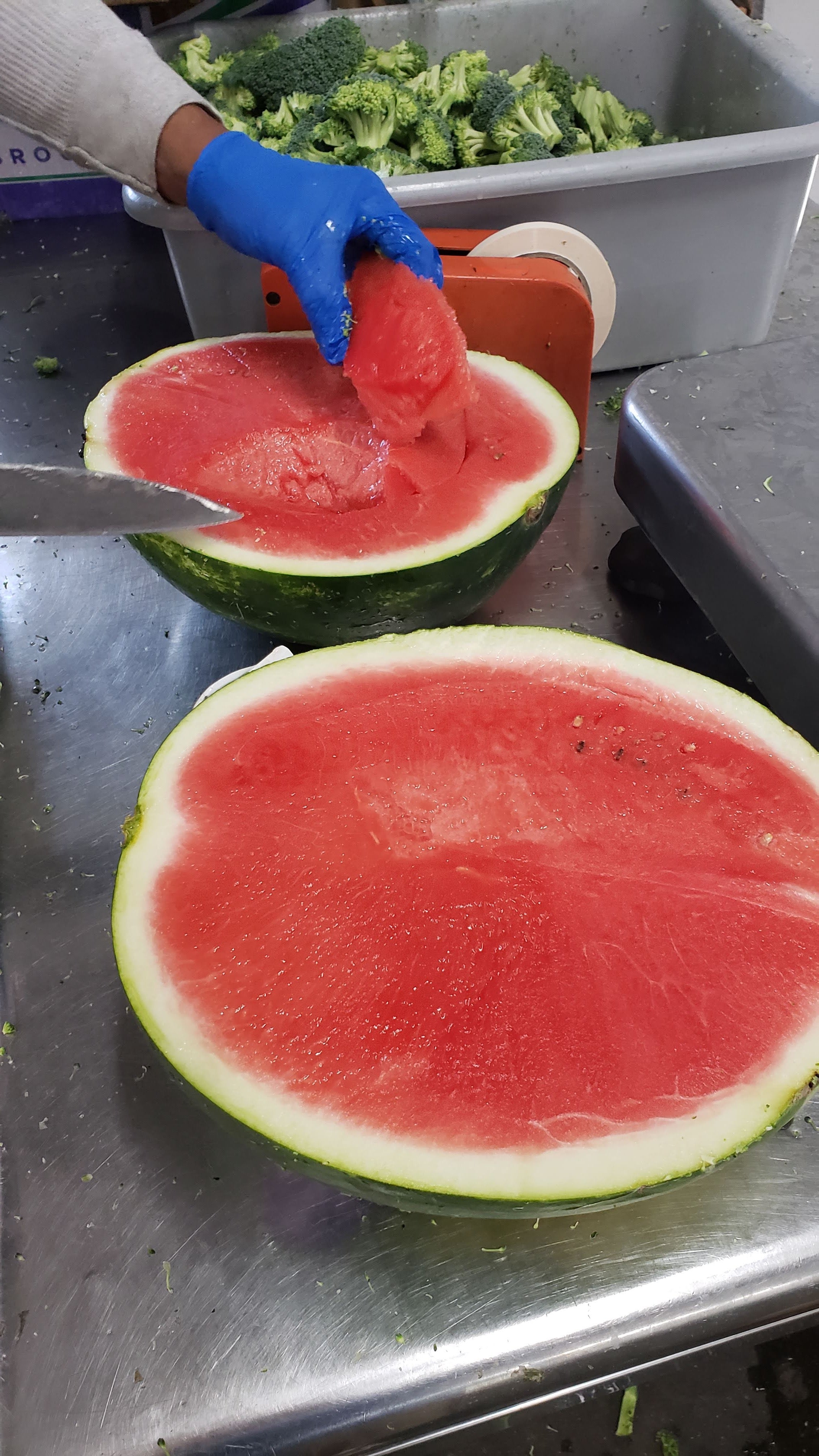 Melon Watermelon Whole Seedless