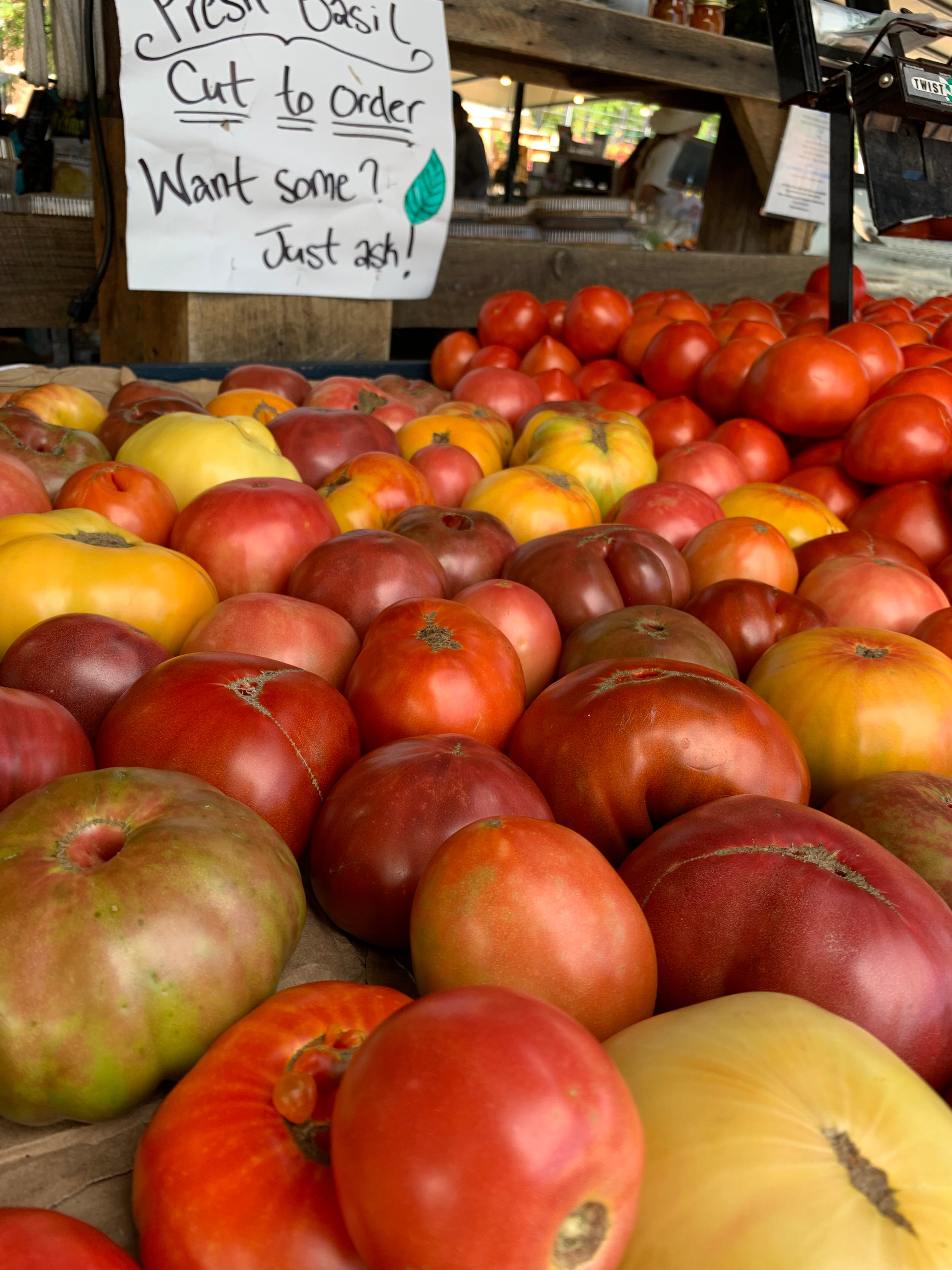 Tomato Heirloom