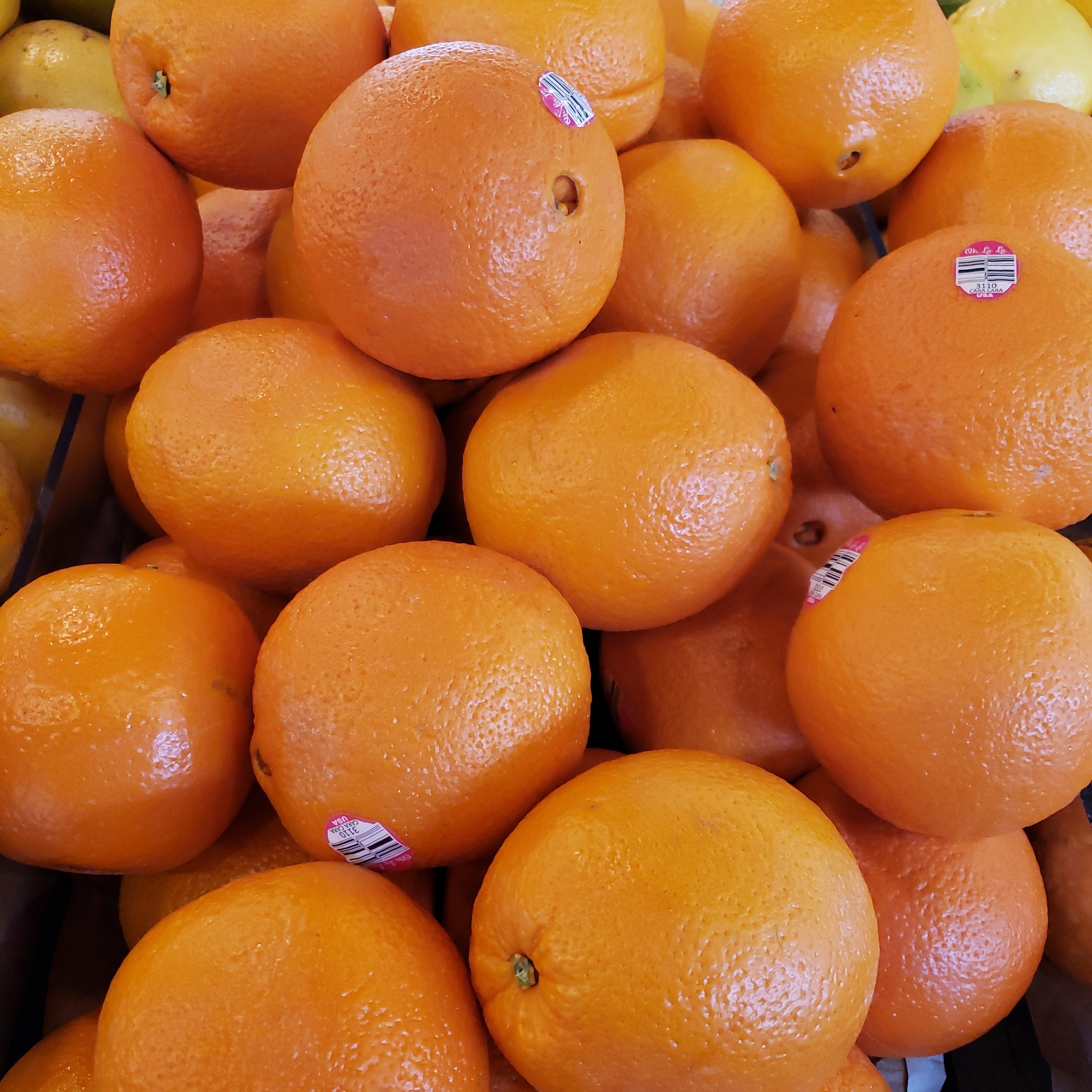 Citrus Cara Cara Navel