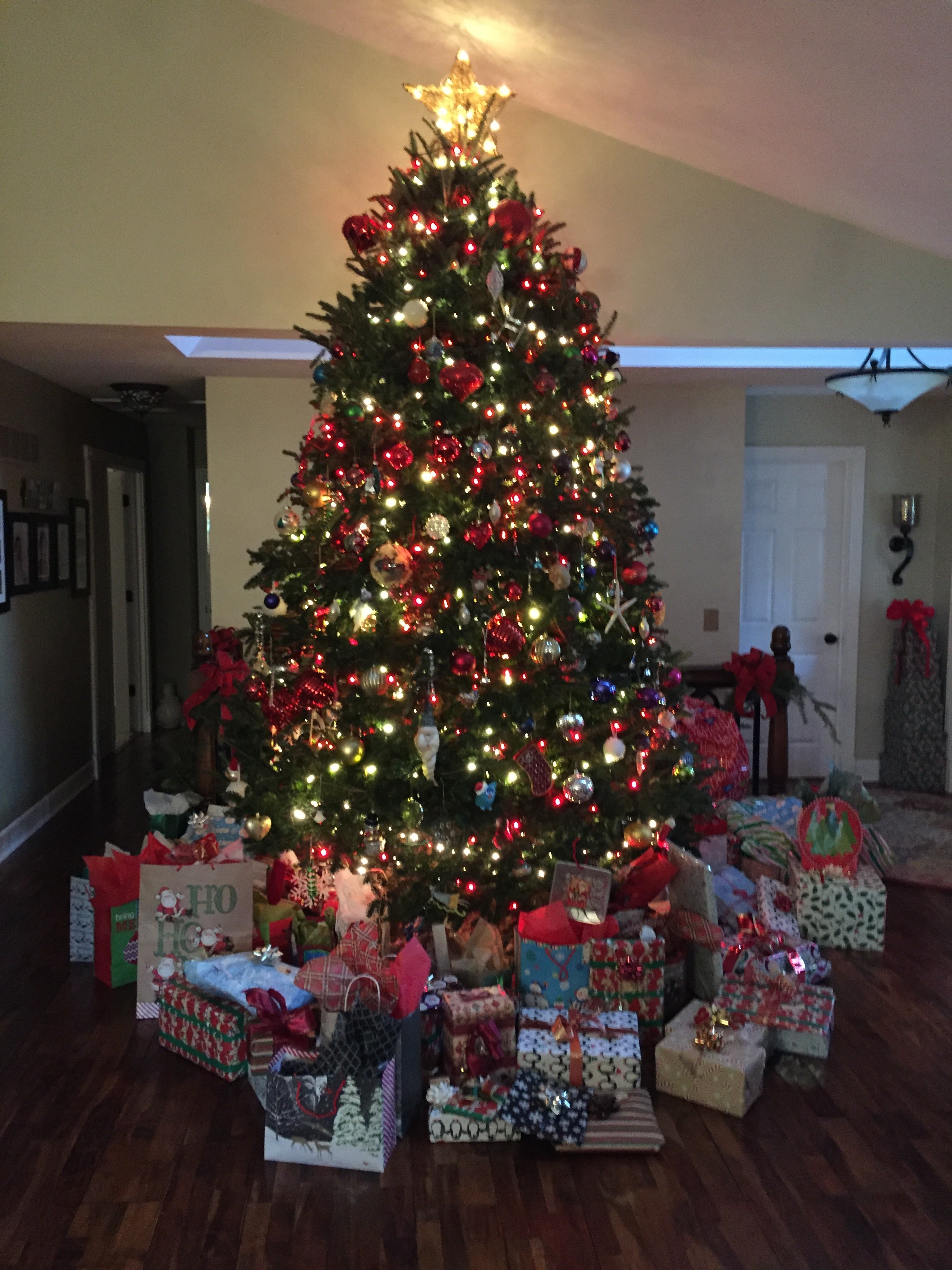 Christmas Tree Frasier Fir