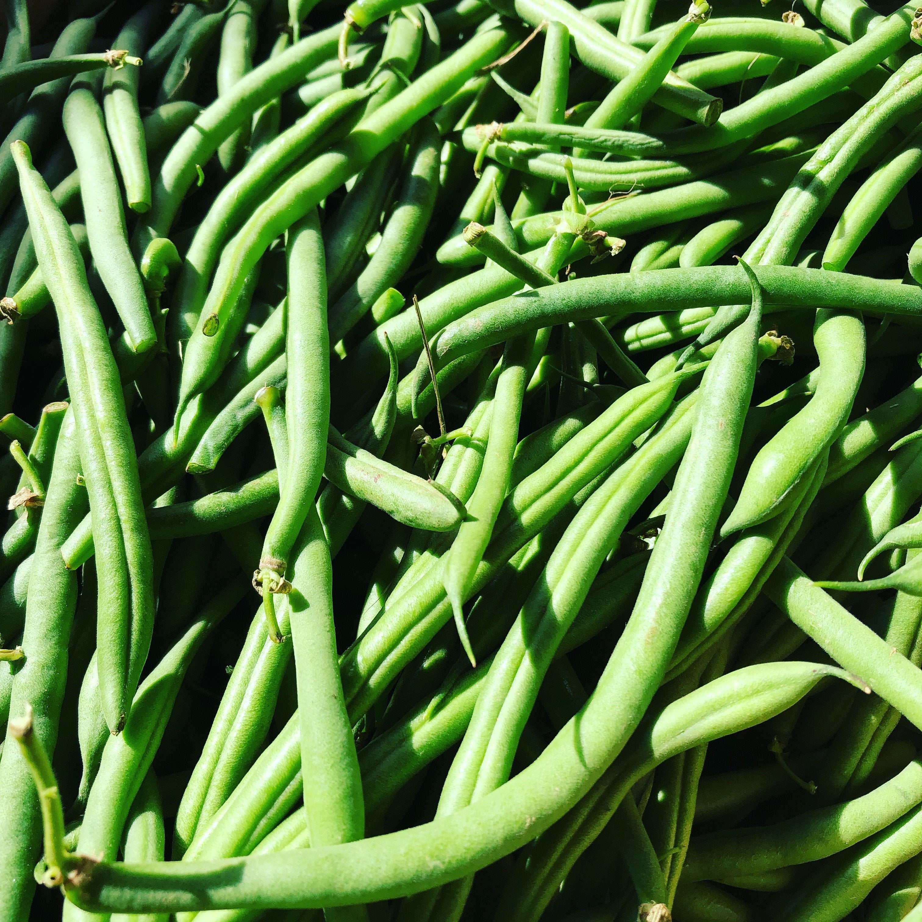 Greenbeans