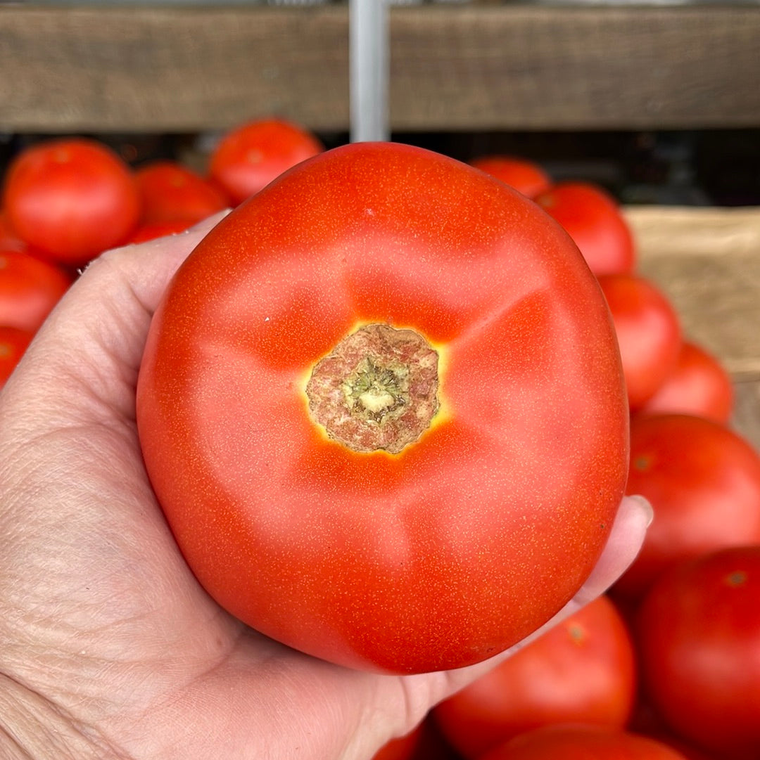 Tomato Red
