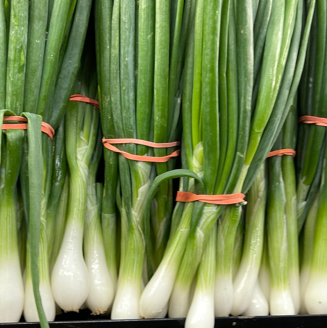 Onion Green Bunch Local