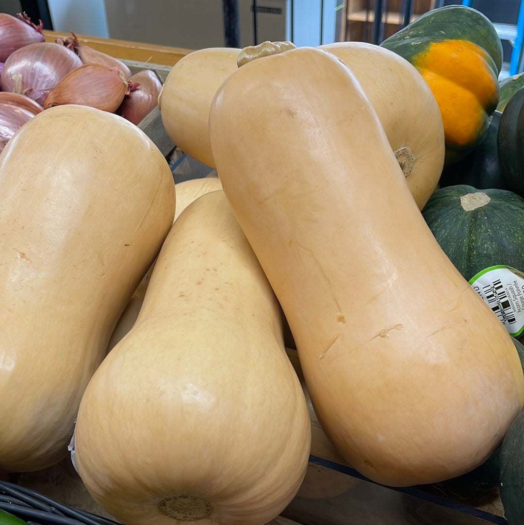 Squash Butternut