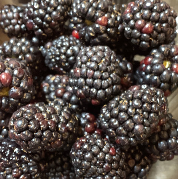 Berries Blackberries
