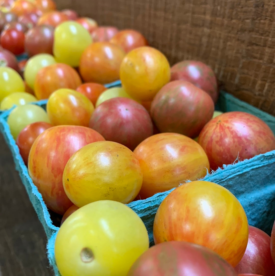 Tomato Cocktail Medley