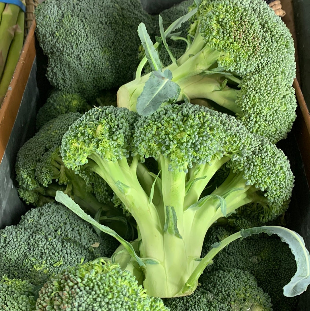 Broccoli