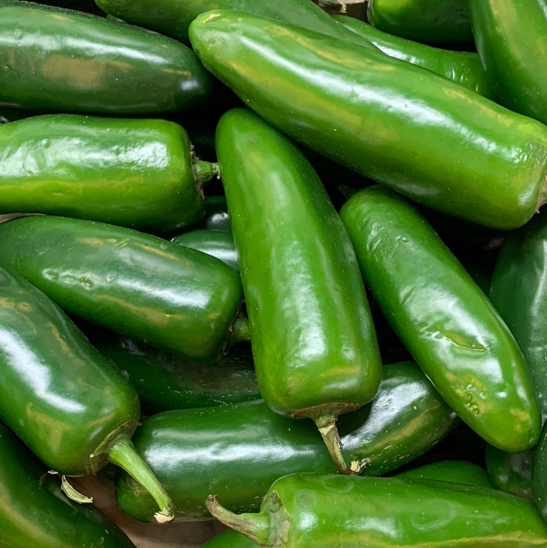Pepper Jalapeño
