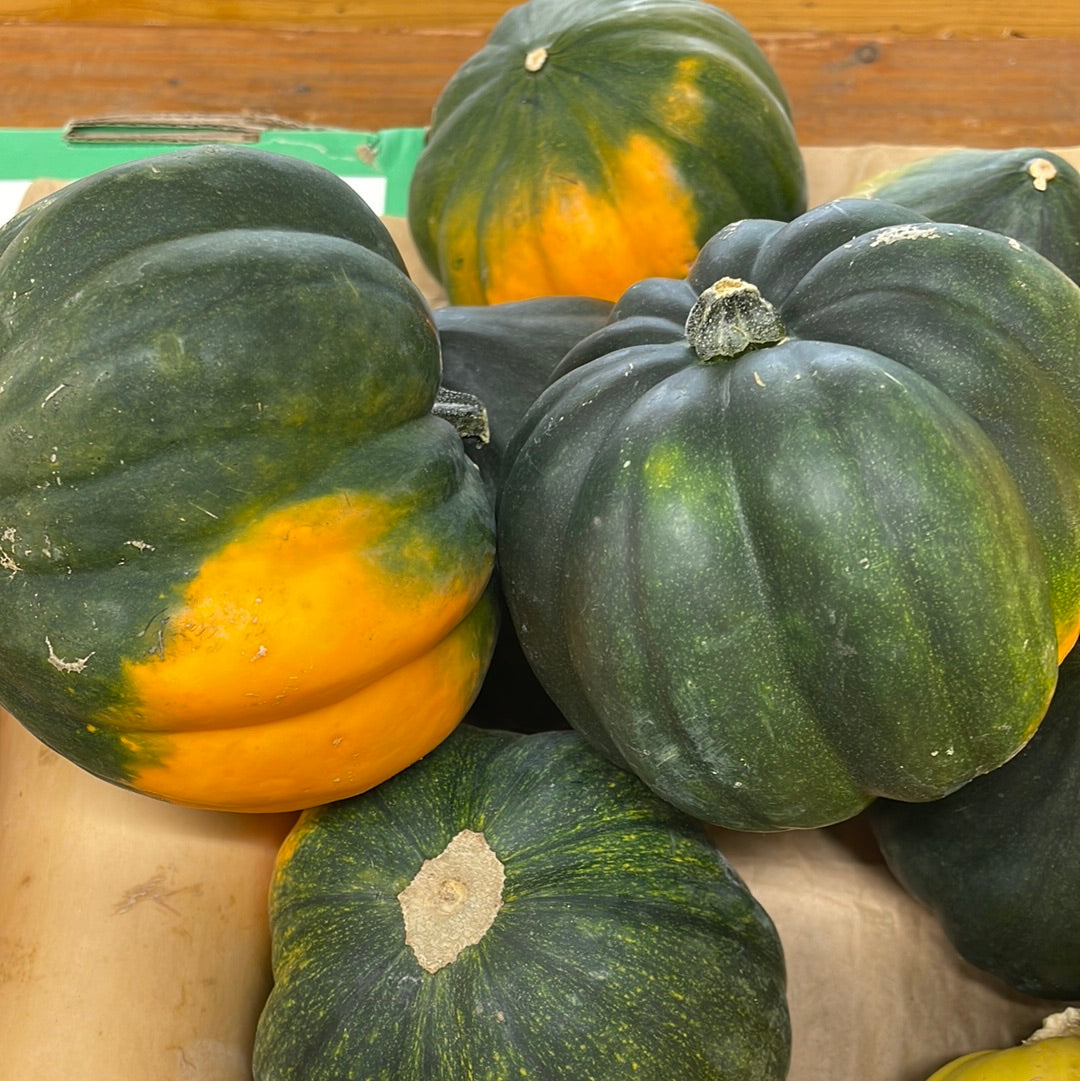 Squash Acorn