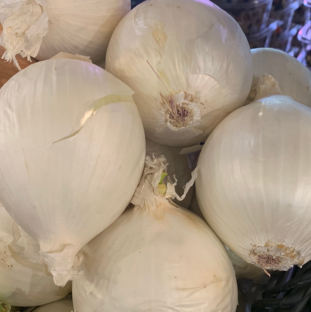 Onion White
