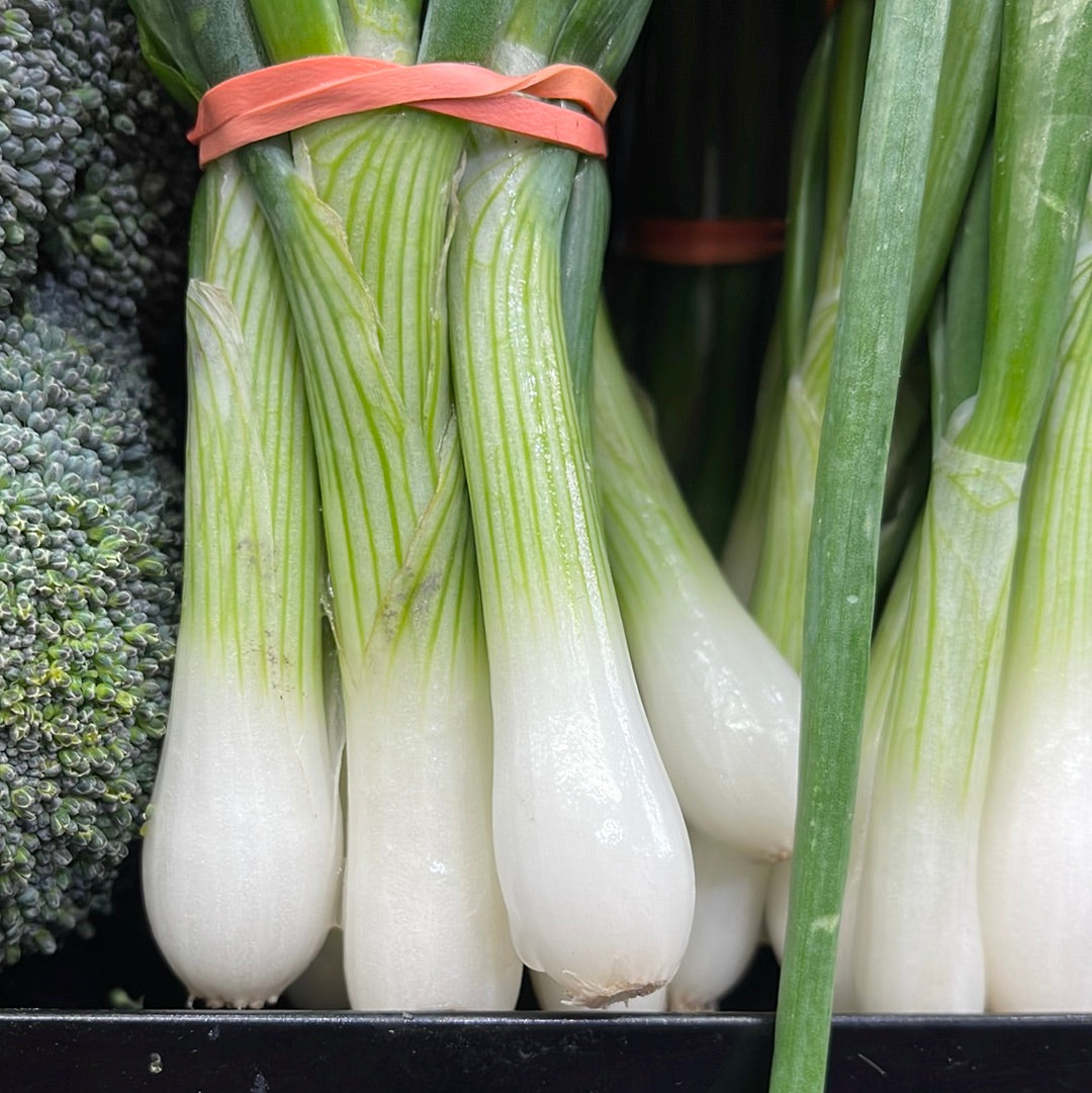 Onion Green Bunch Local