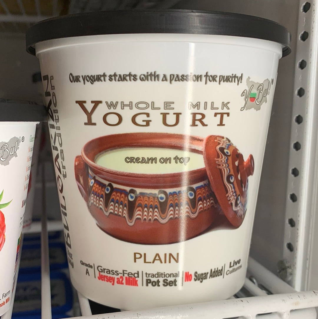 Yogurt Local