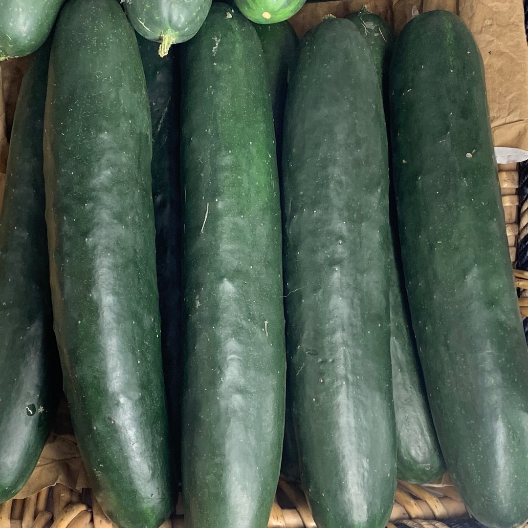 Cucumber