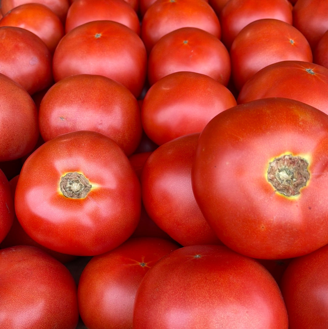 Tomato Red
