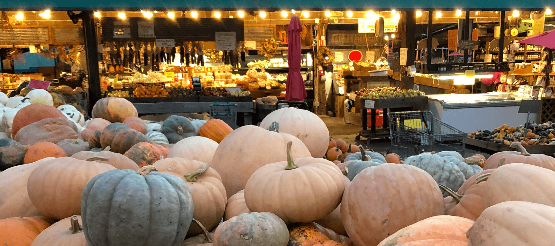 Pastel pumpkins in front of The Summit market displays under warm string lights