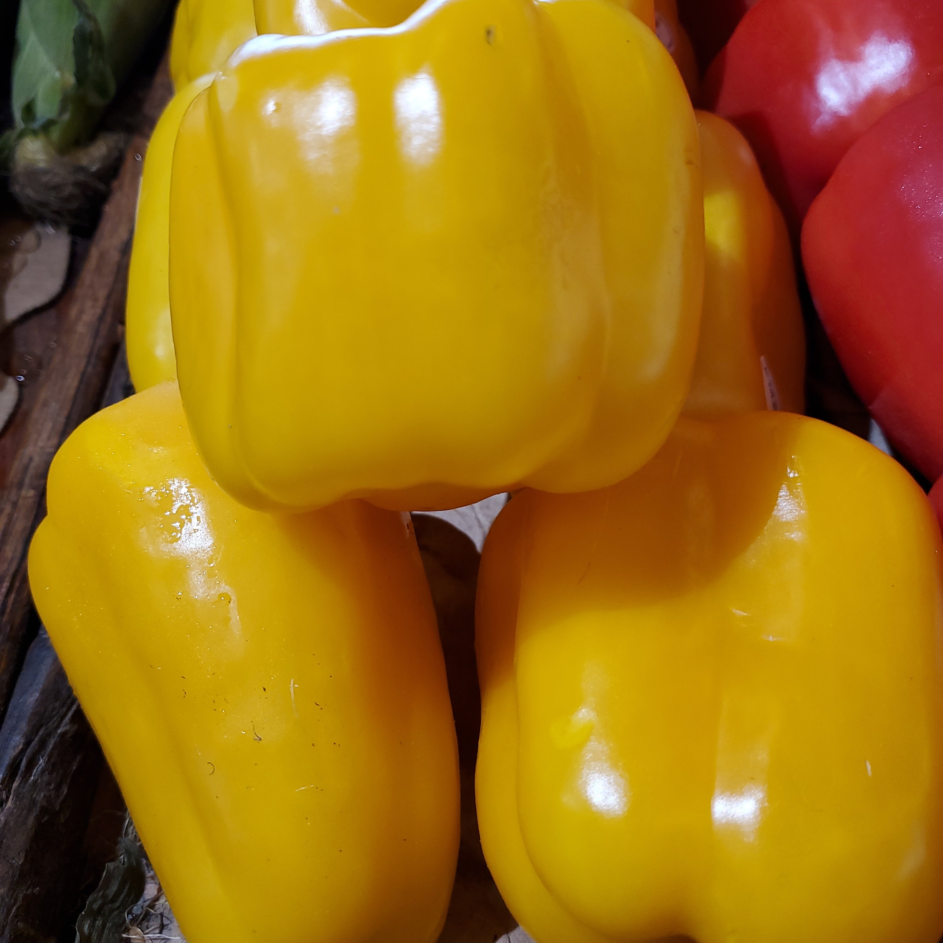 Pepper Bell Red