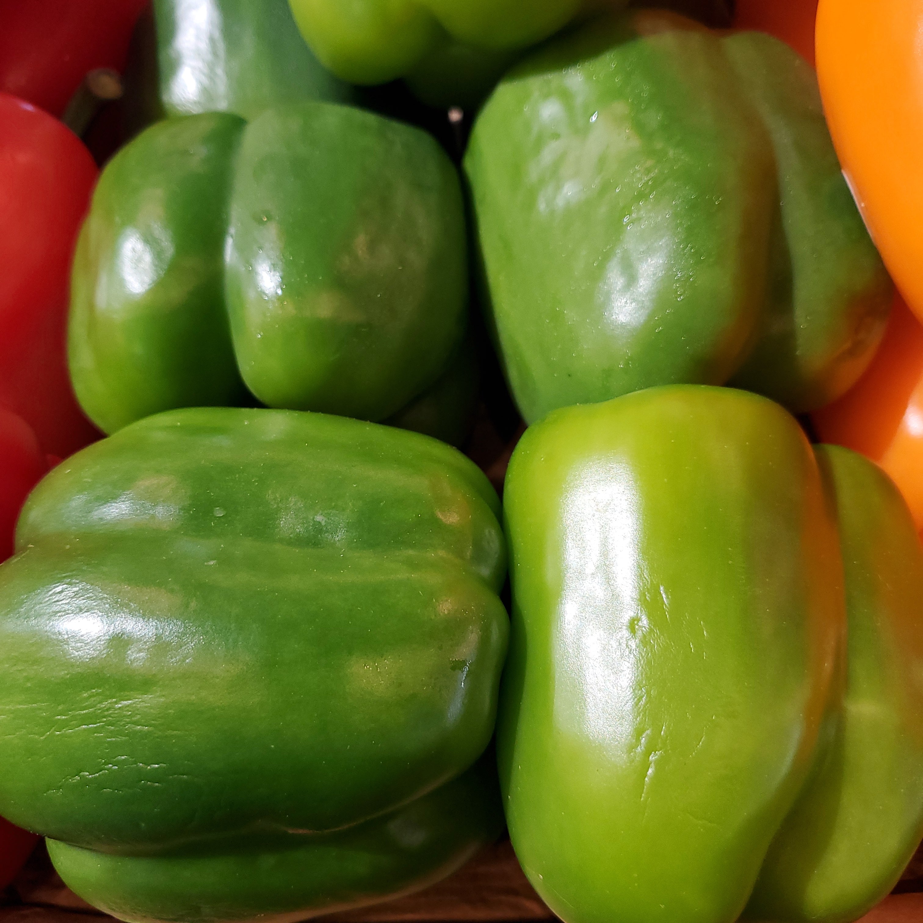 Pepper Bell Red