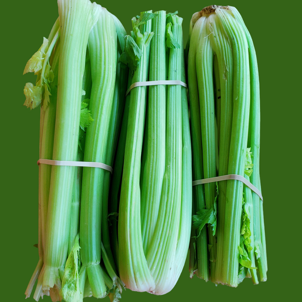 Celery