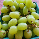 Grapes Red Seedless