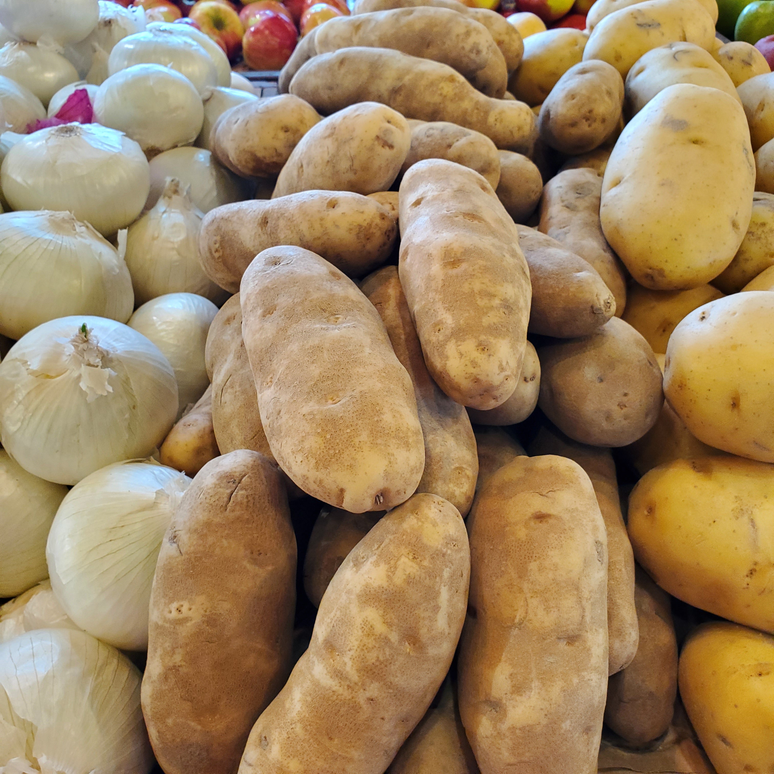 Potato Idaho Baker