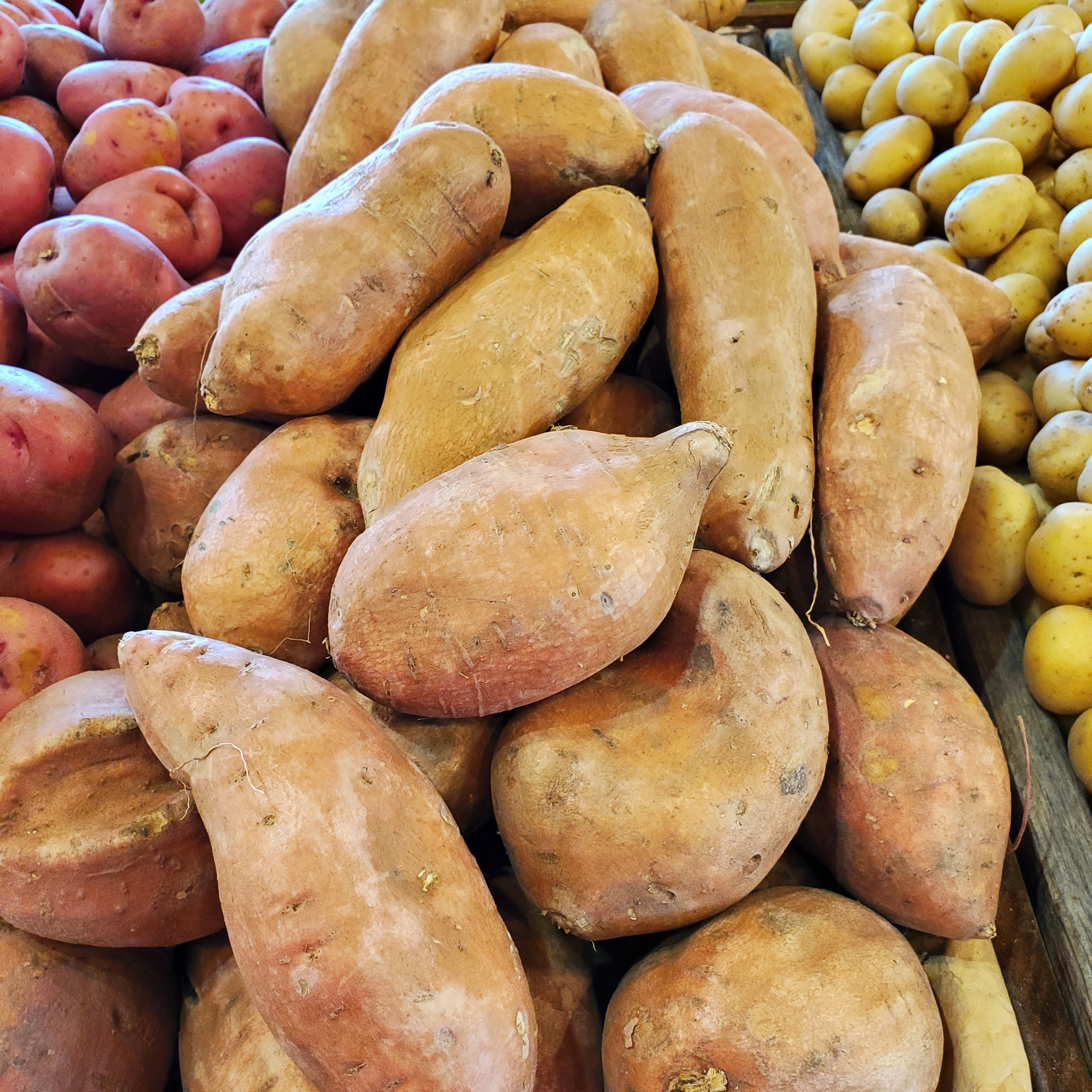 Potato Sweet