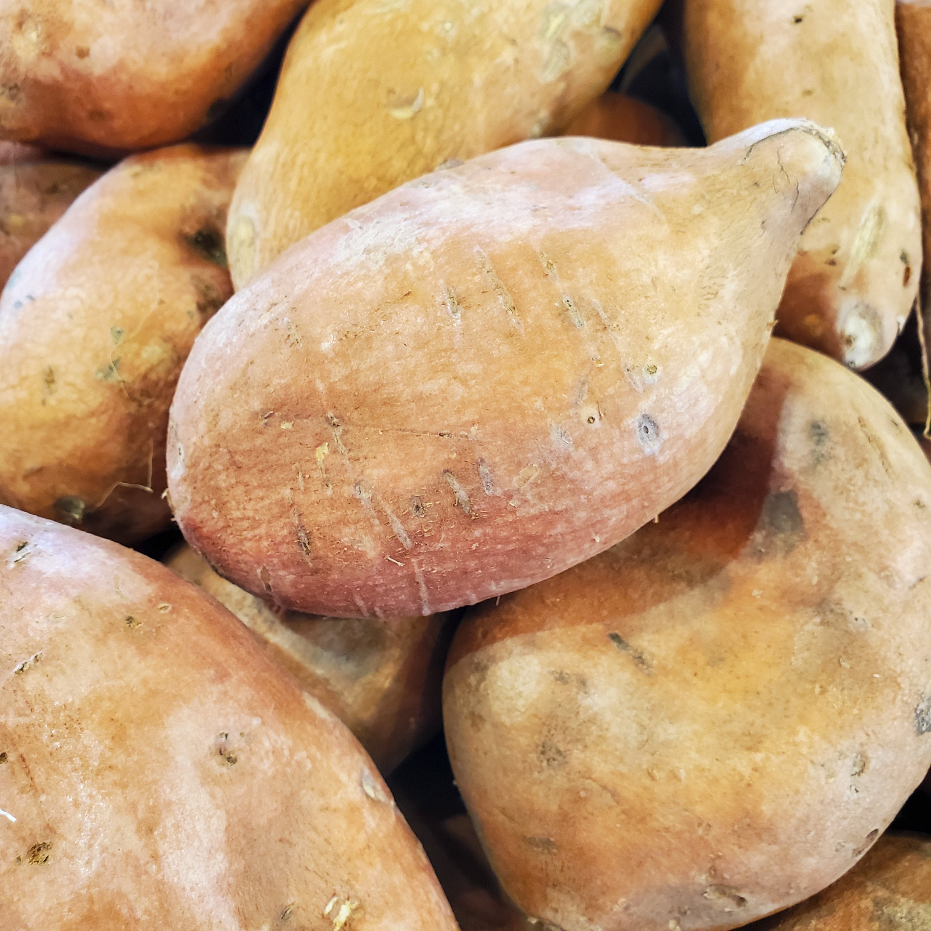 Potato Sweet