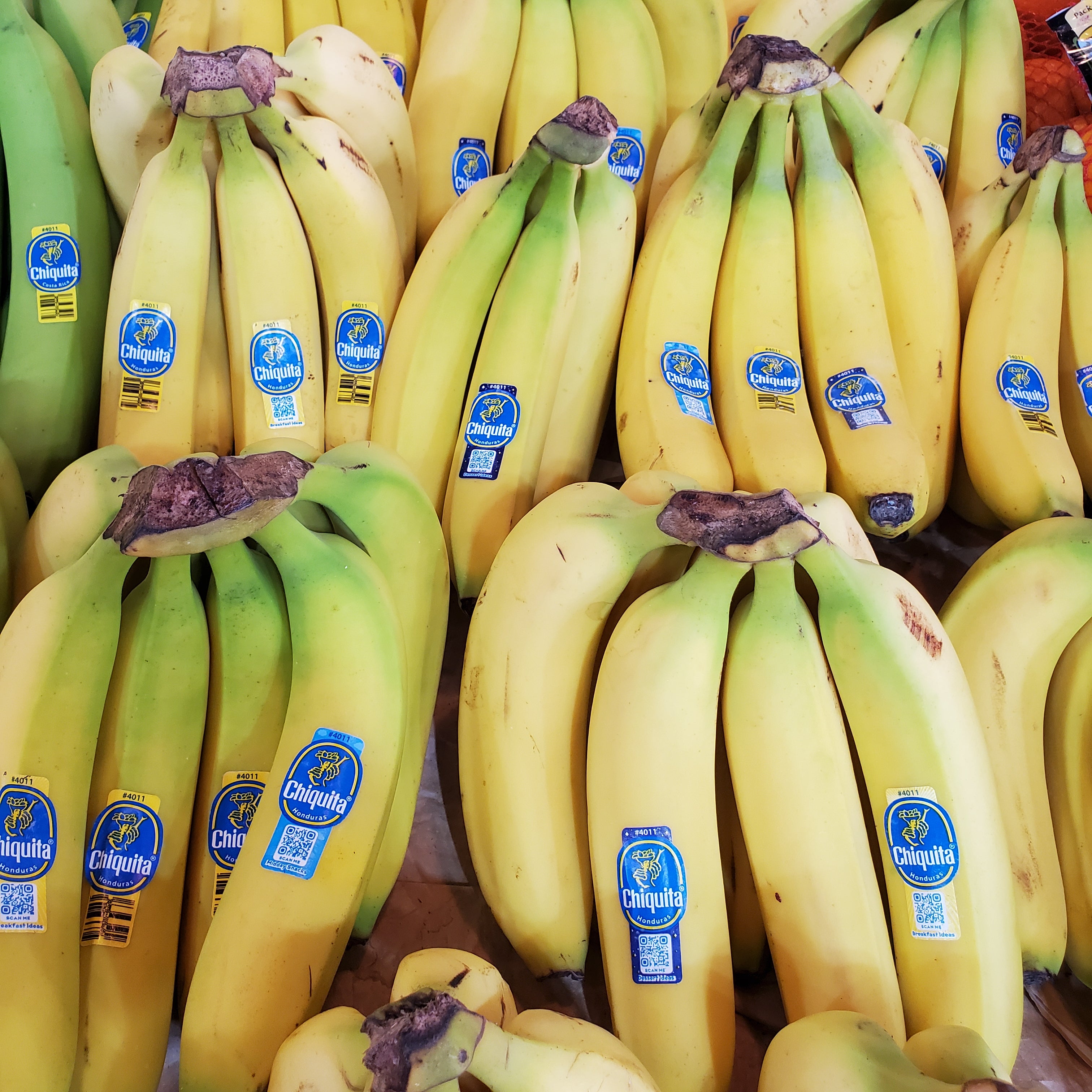 Bananas