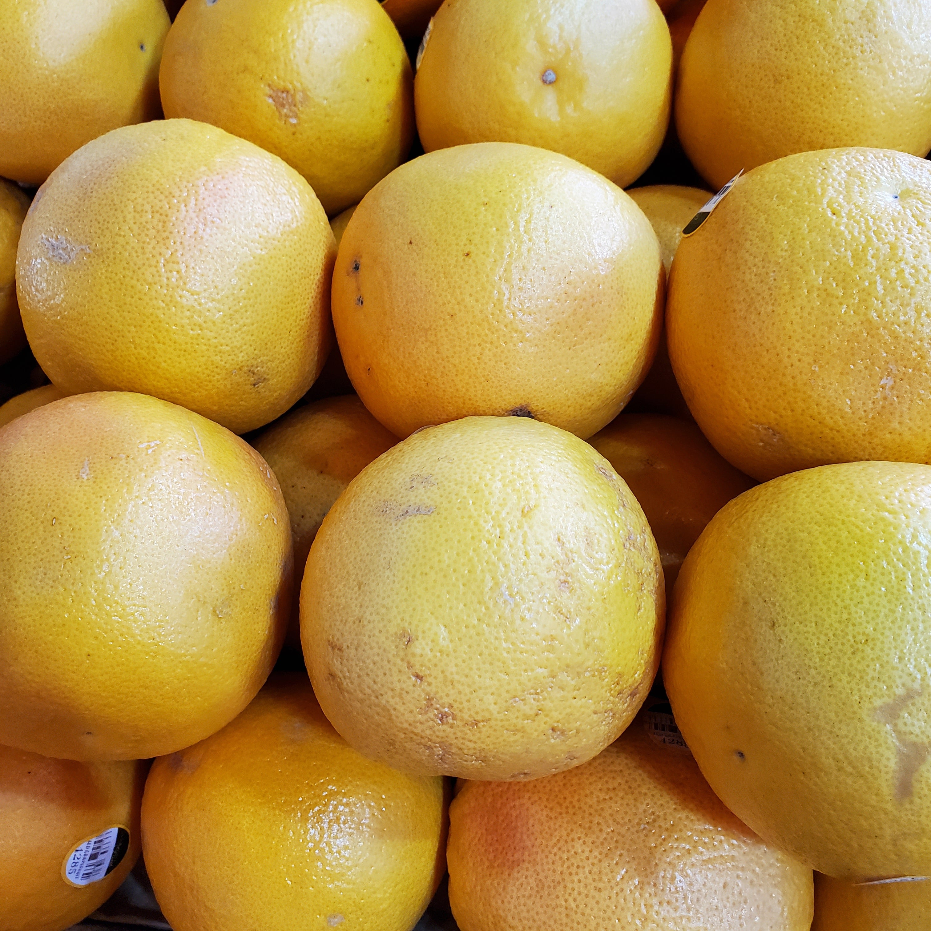 Citrus Grapefruit