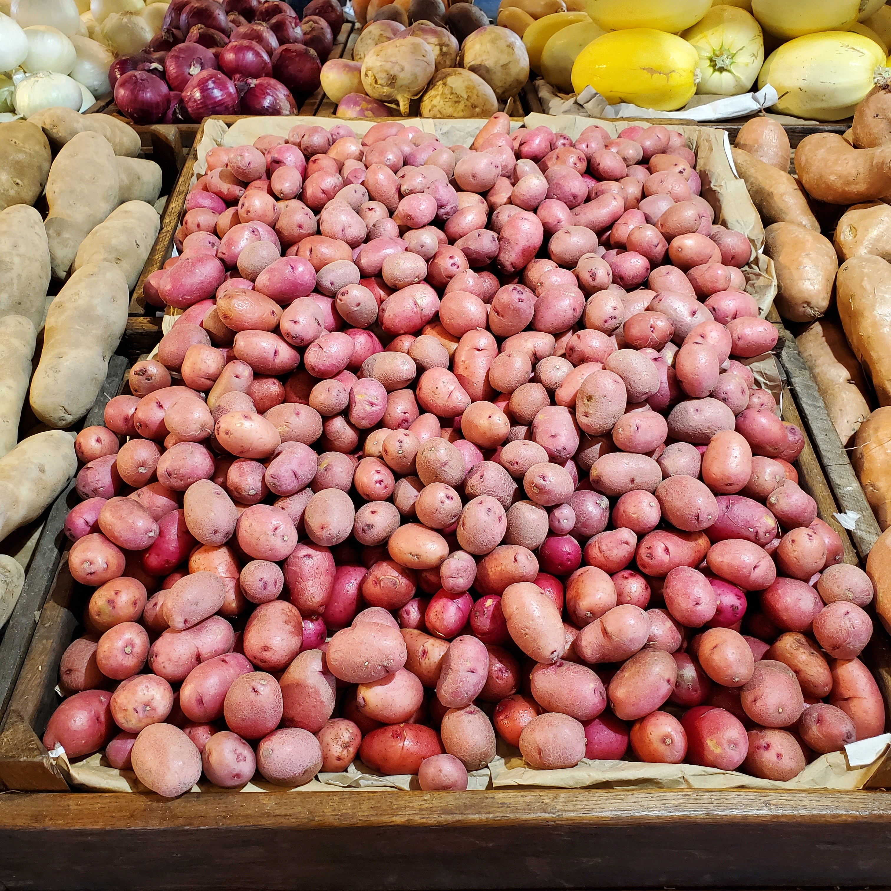 Potato Creamer Red
