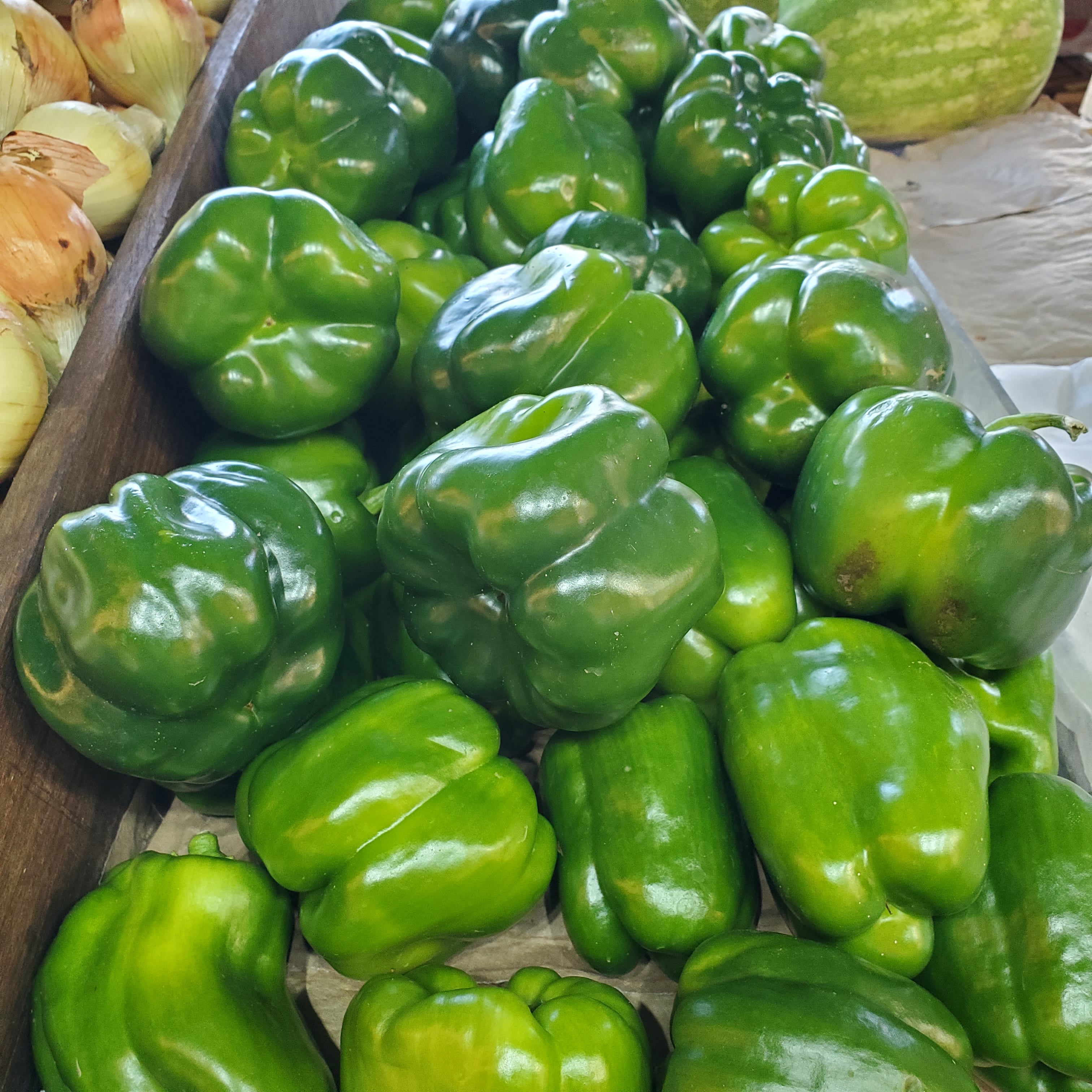 Pepper Bell Green