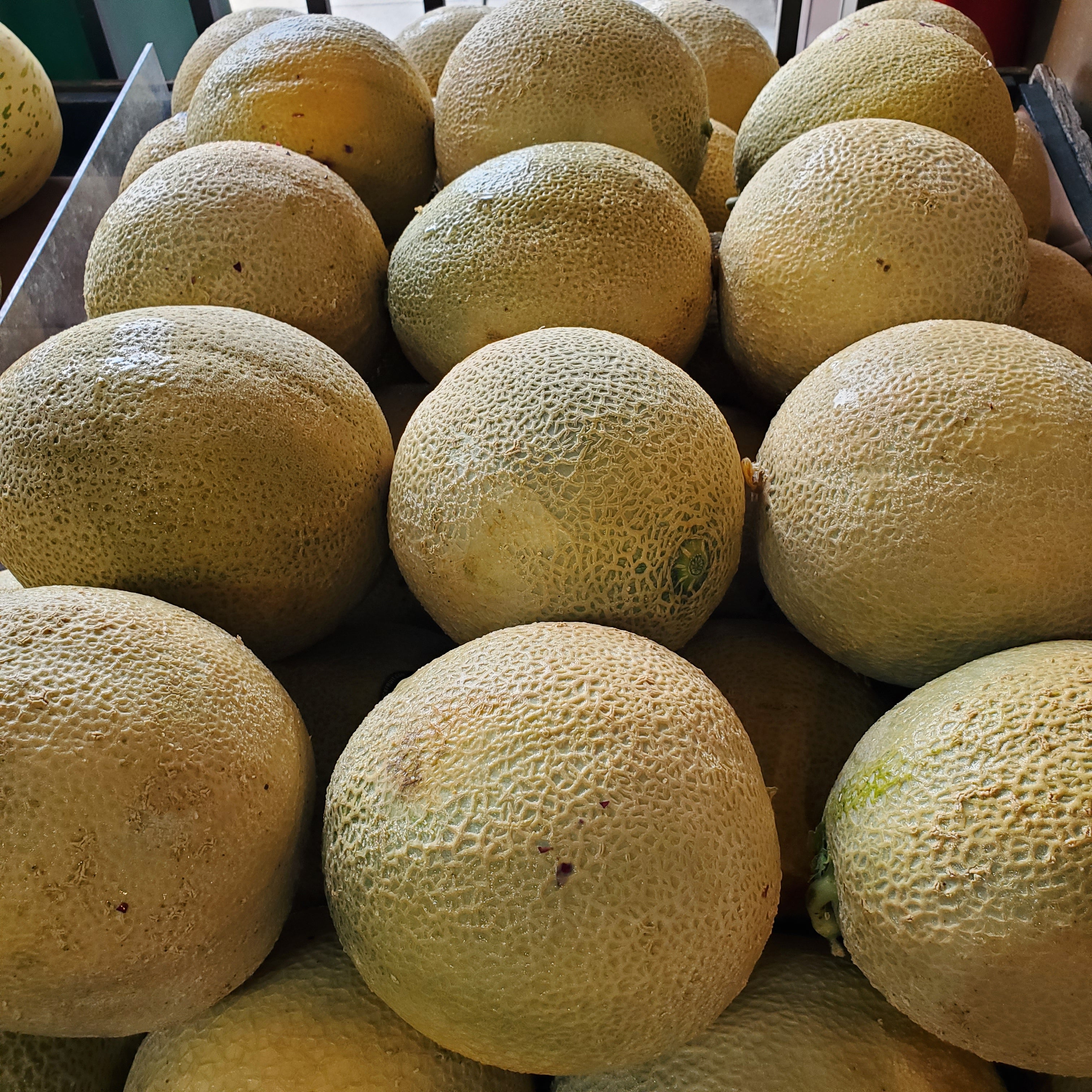 Melon Cantaloupe