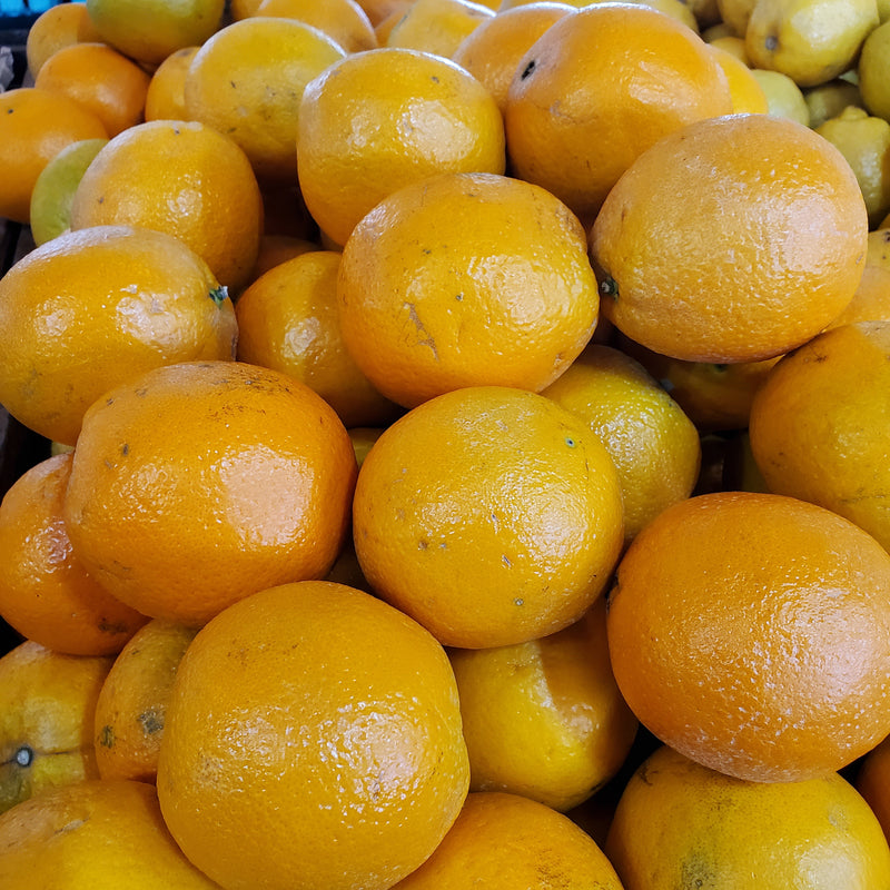 Citrus Navel Orange