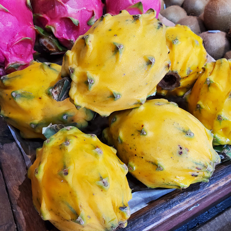 Dragonfruit Yellow