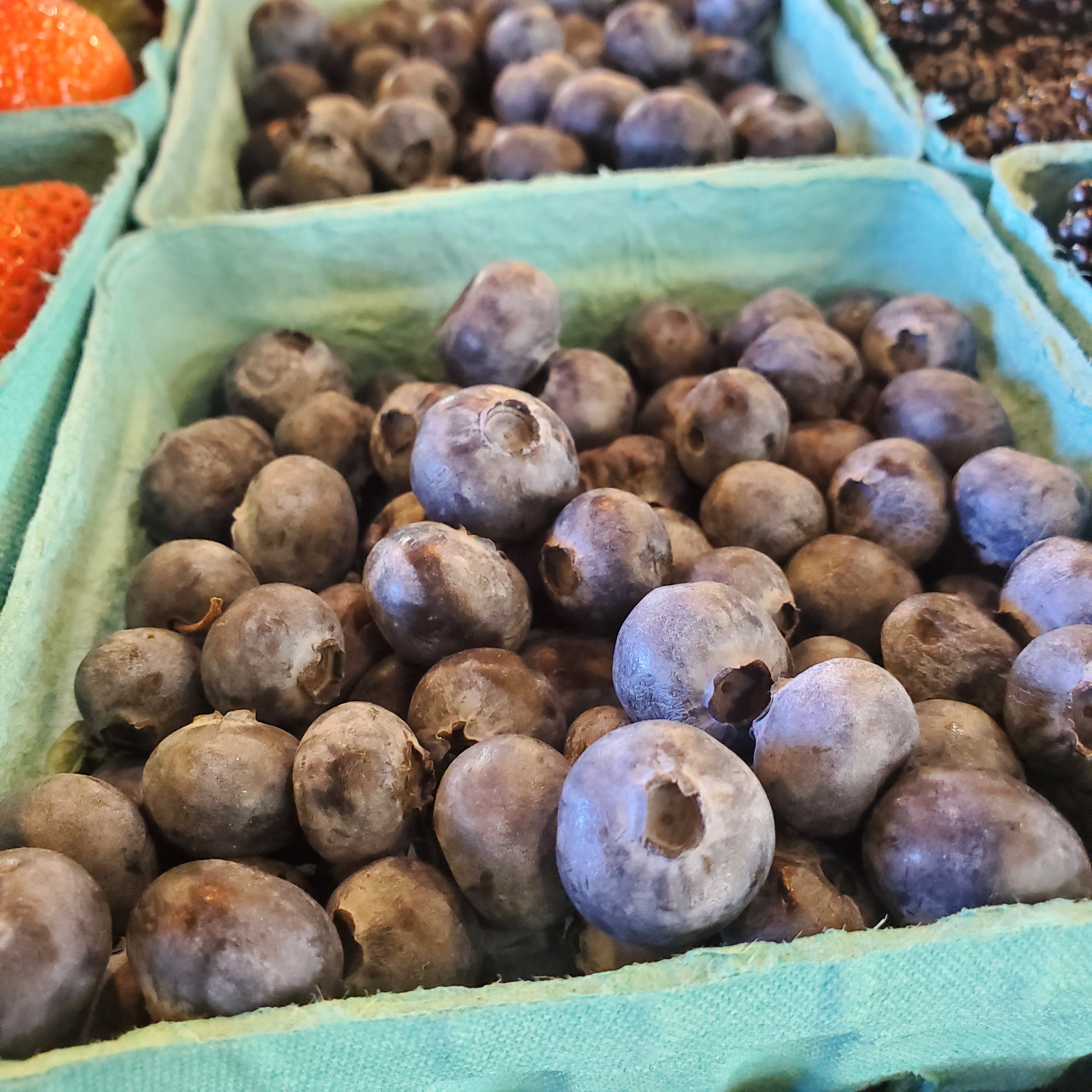 Berries Blueberries