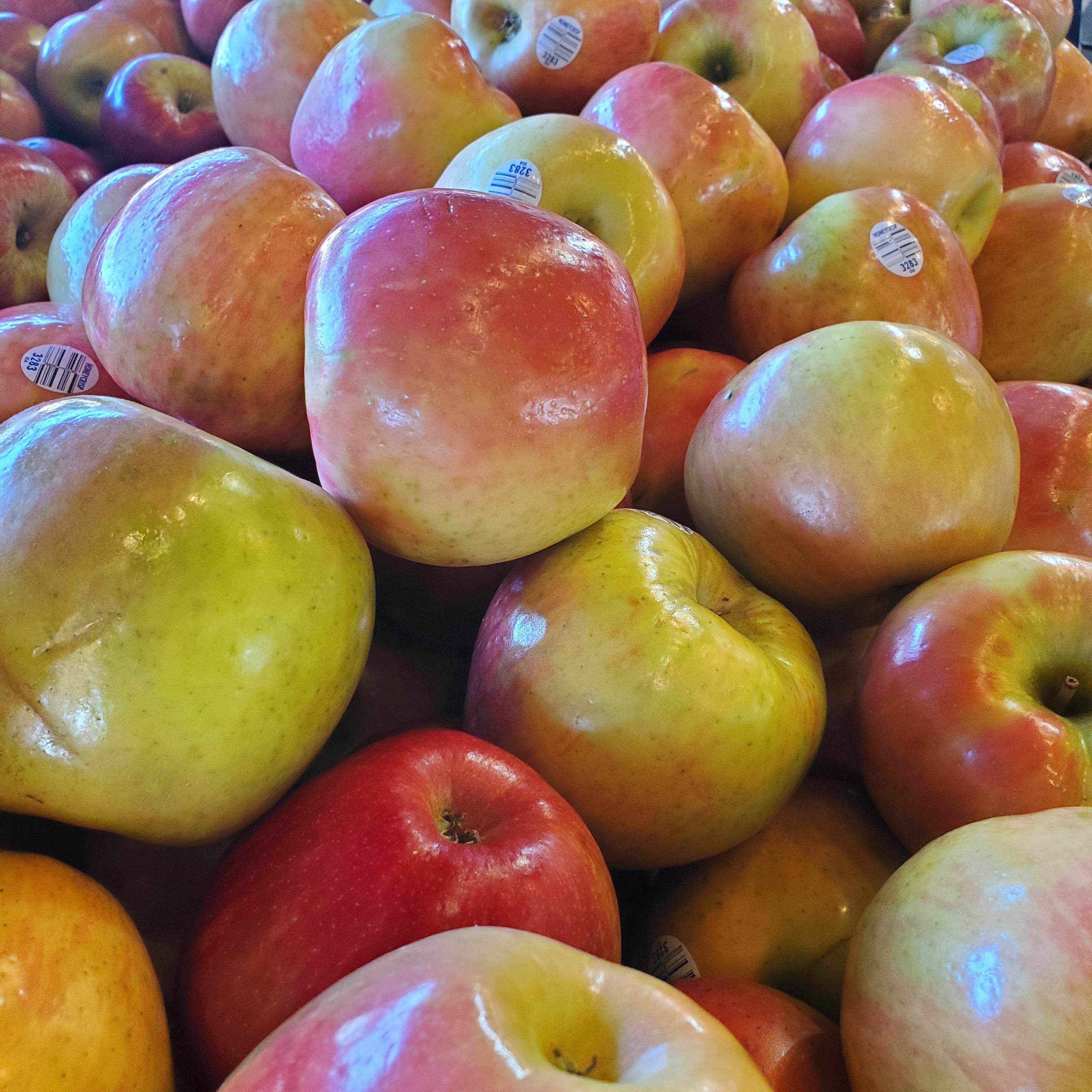 Apples Honey Crisp