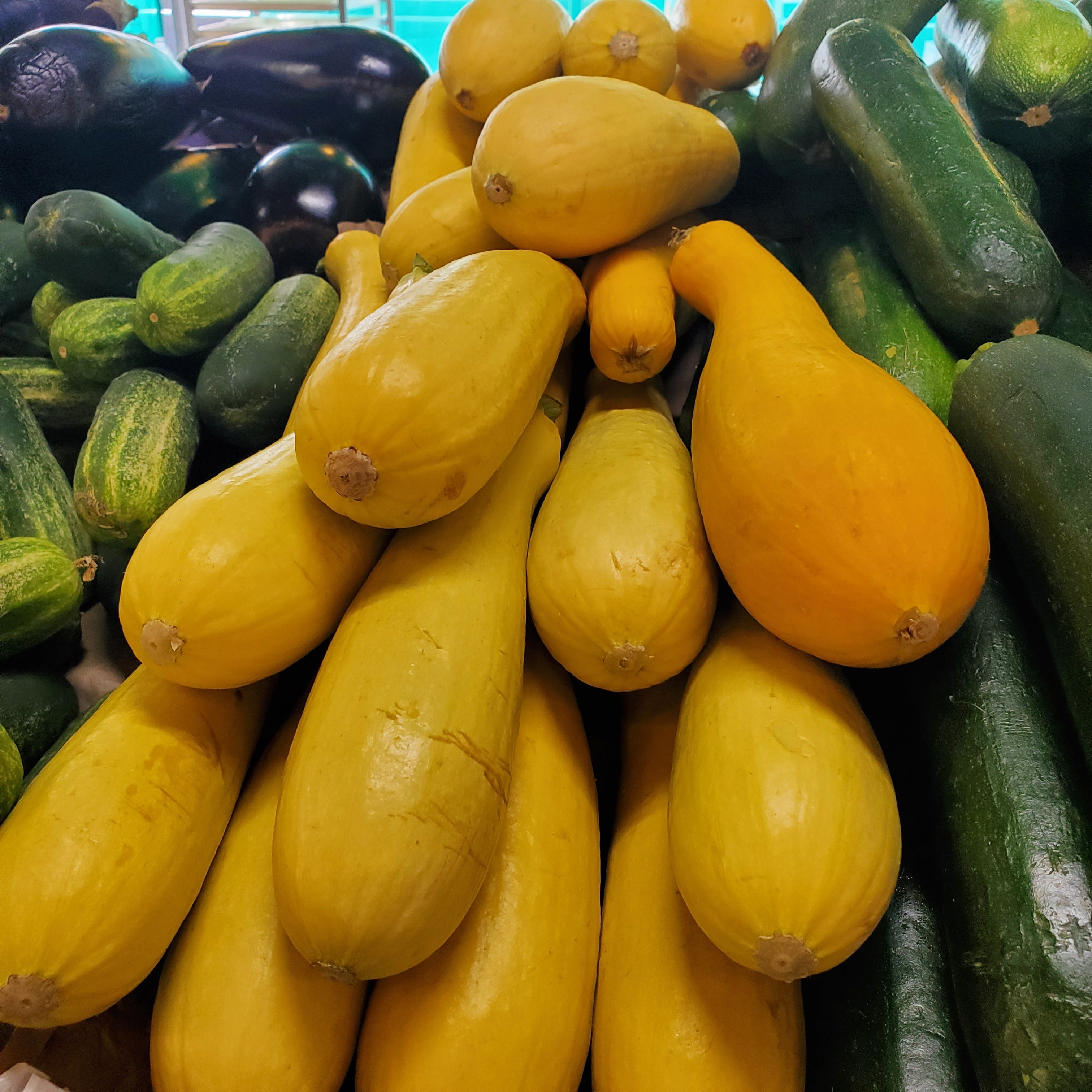 Squash Yellow