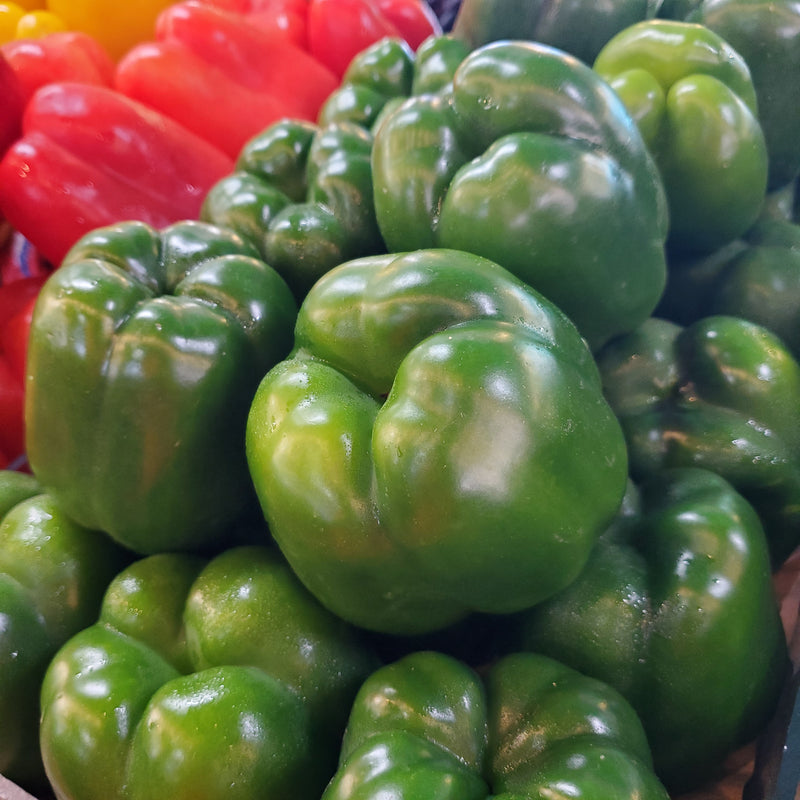 Pepper Bell Green