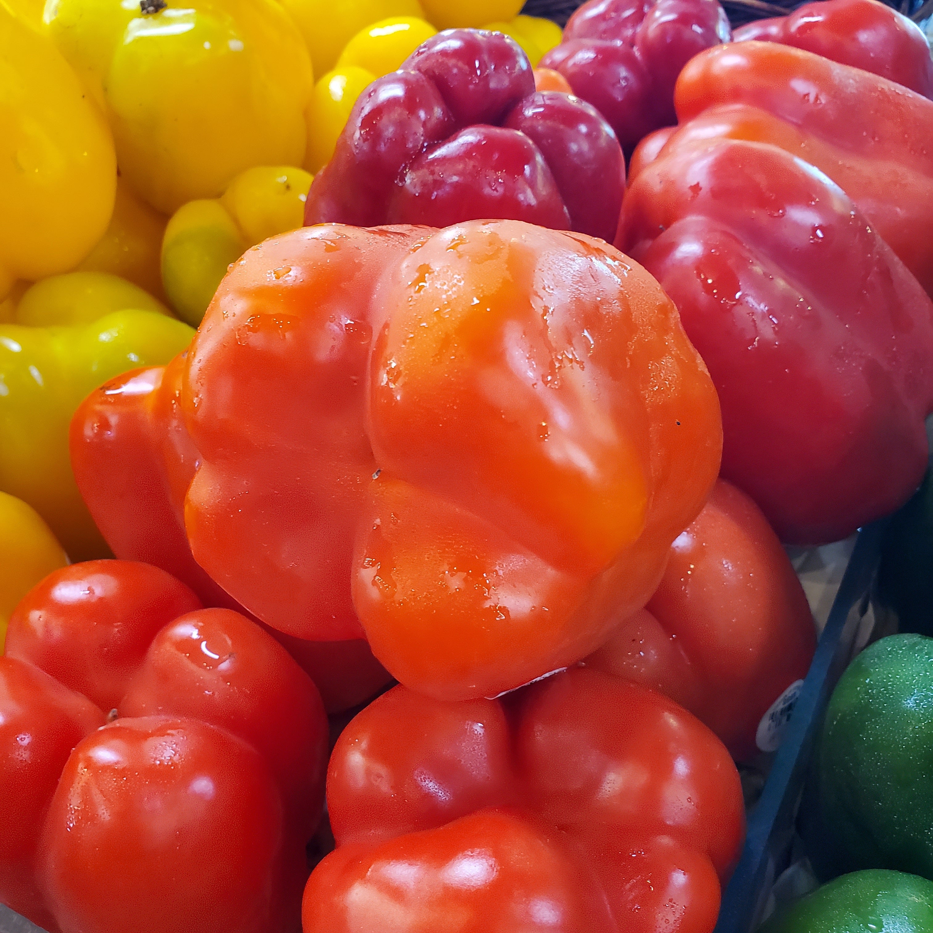 Pepper Bell Red